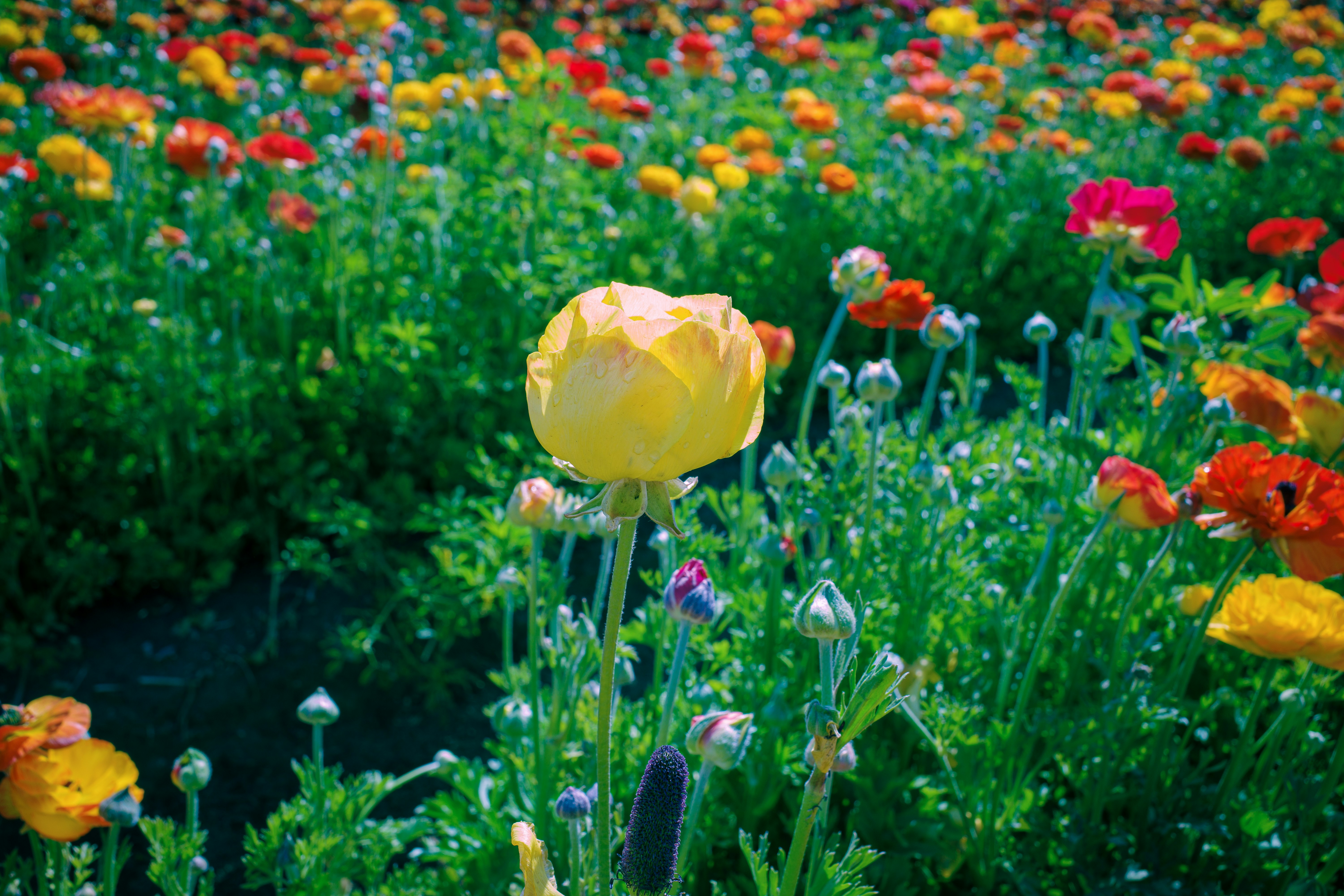 Photo by april_vasquez