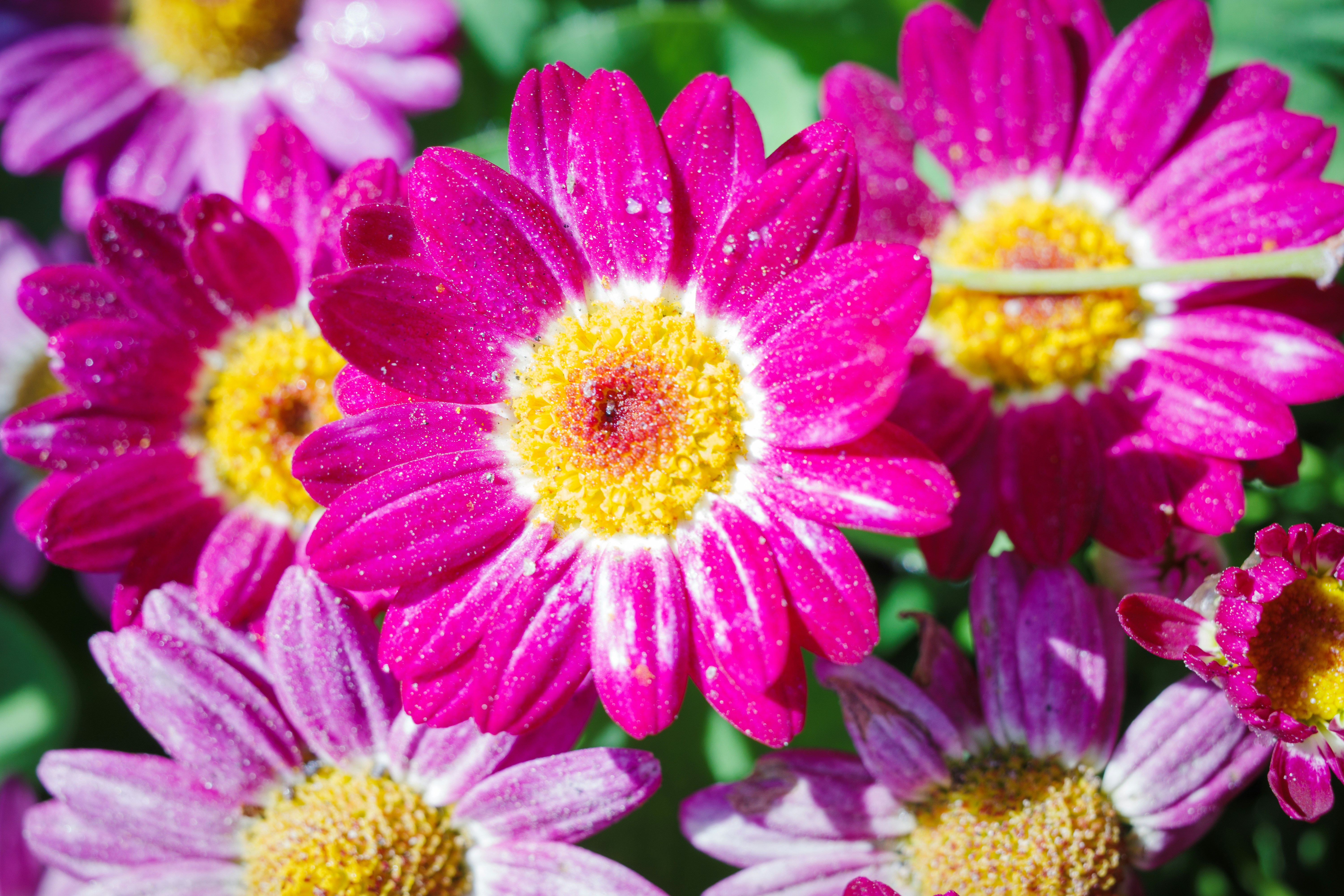 Photo by april_vasquez