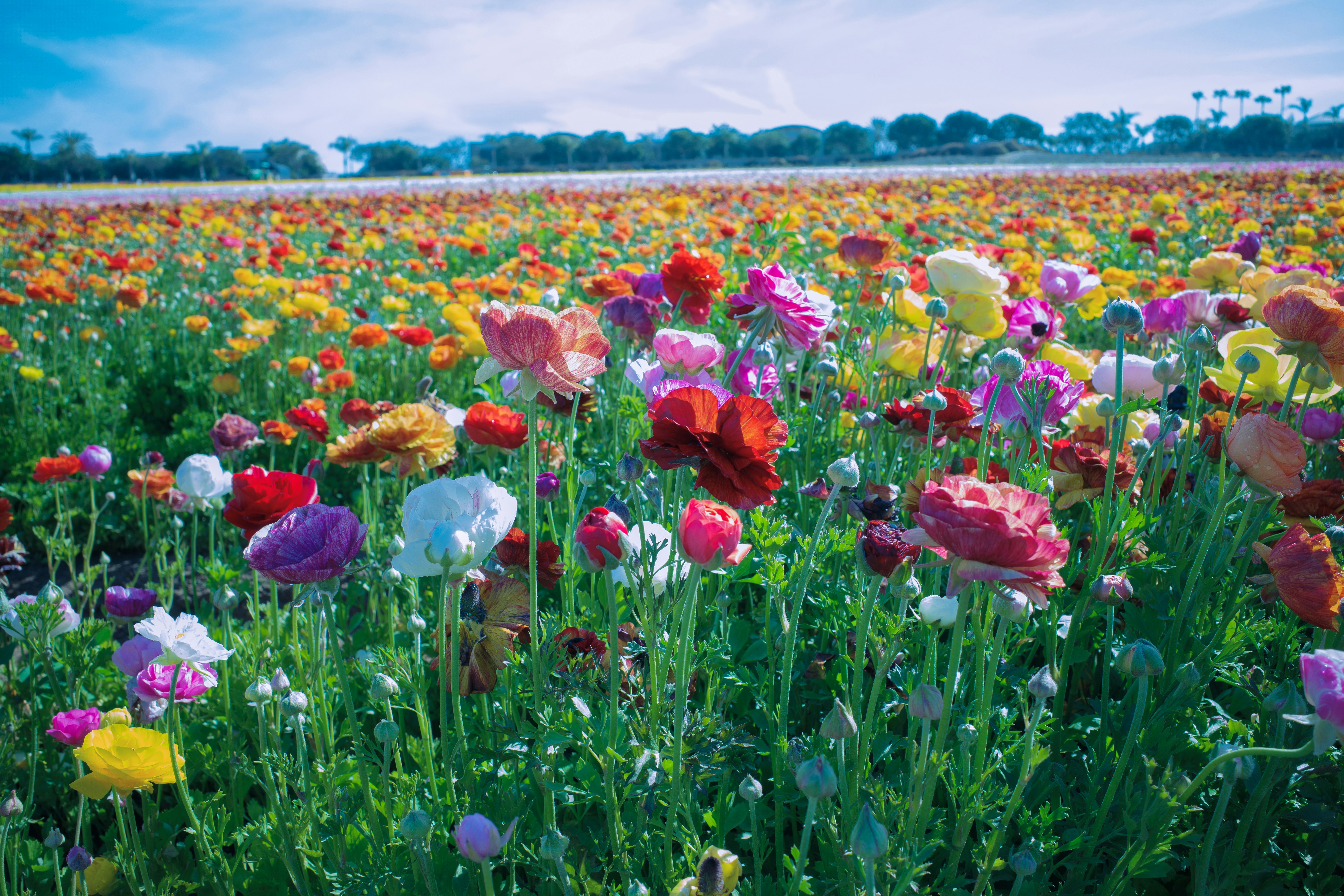 Photo by april_vasquez