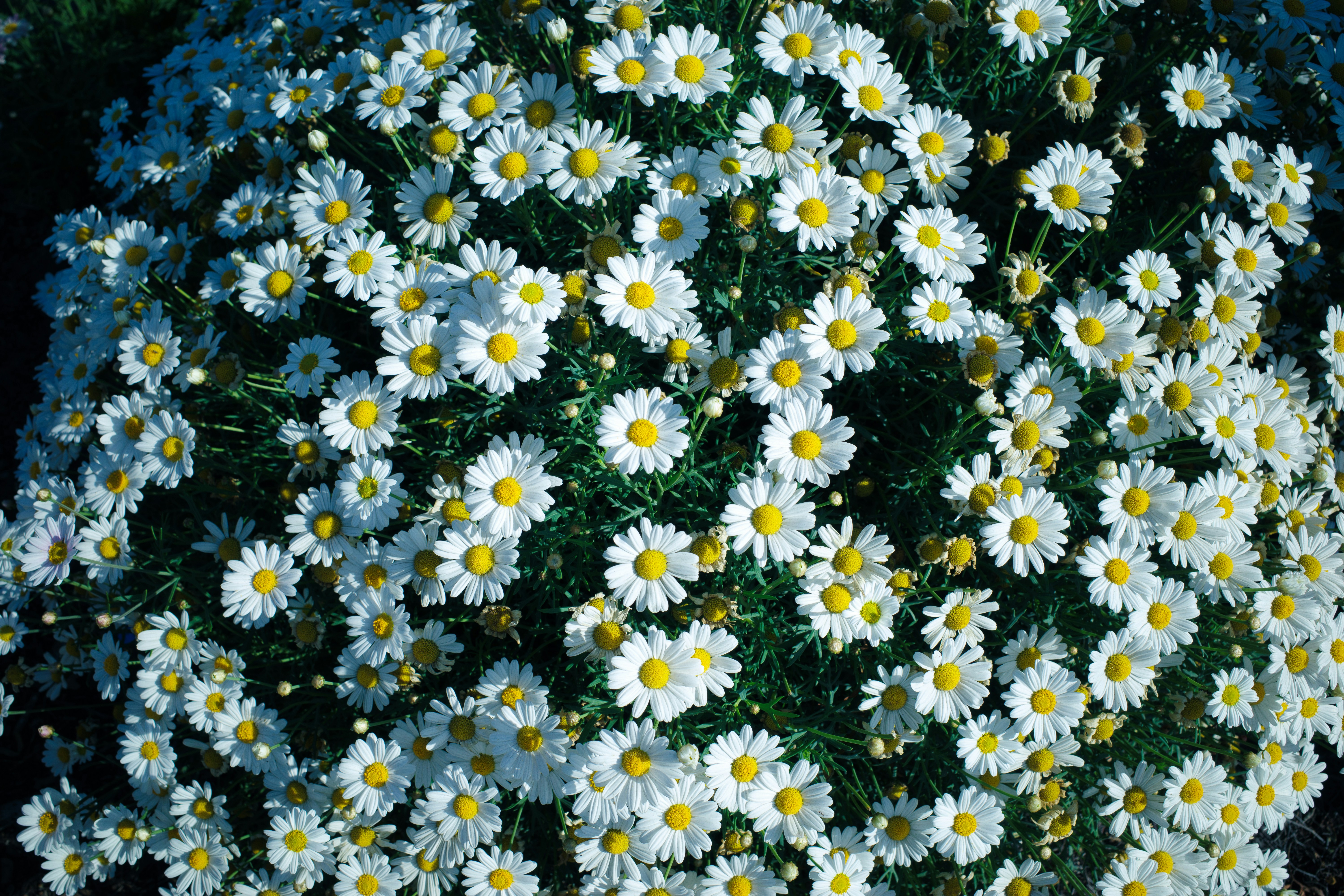 Photo by april_vasquez