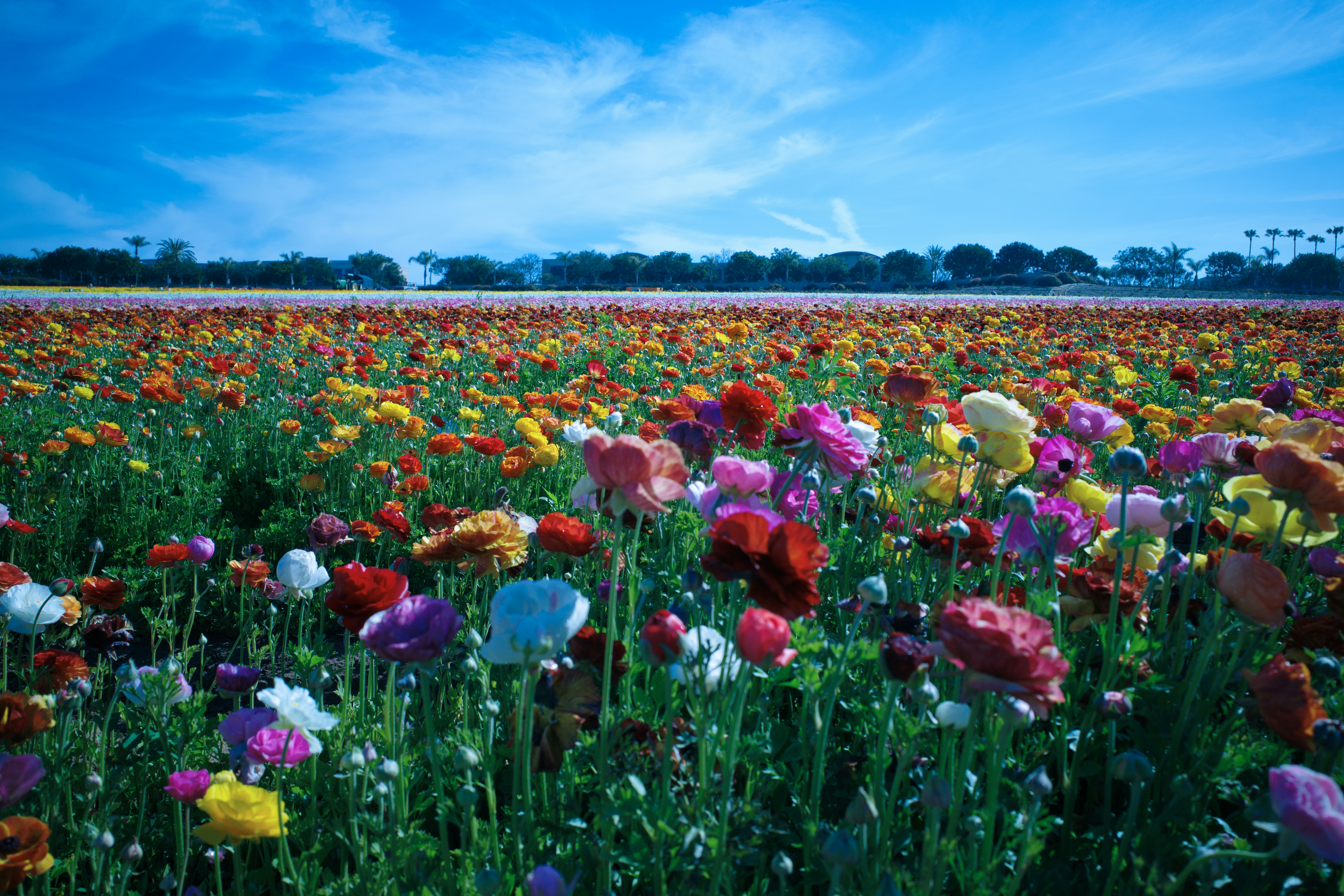 Photo by april_vasquez