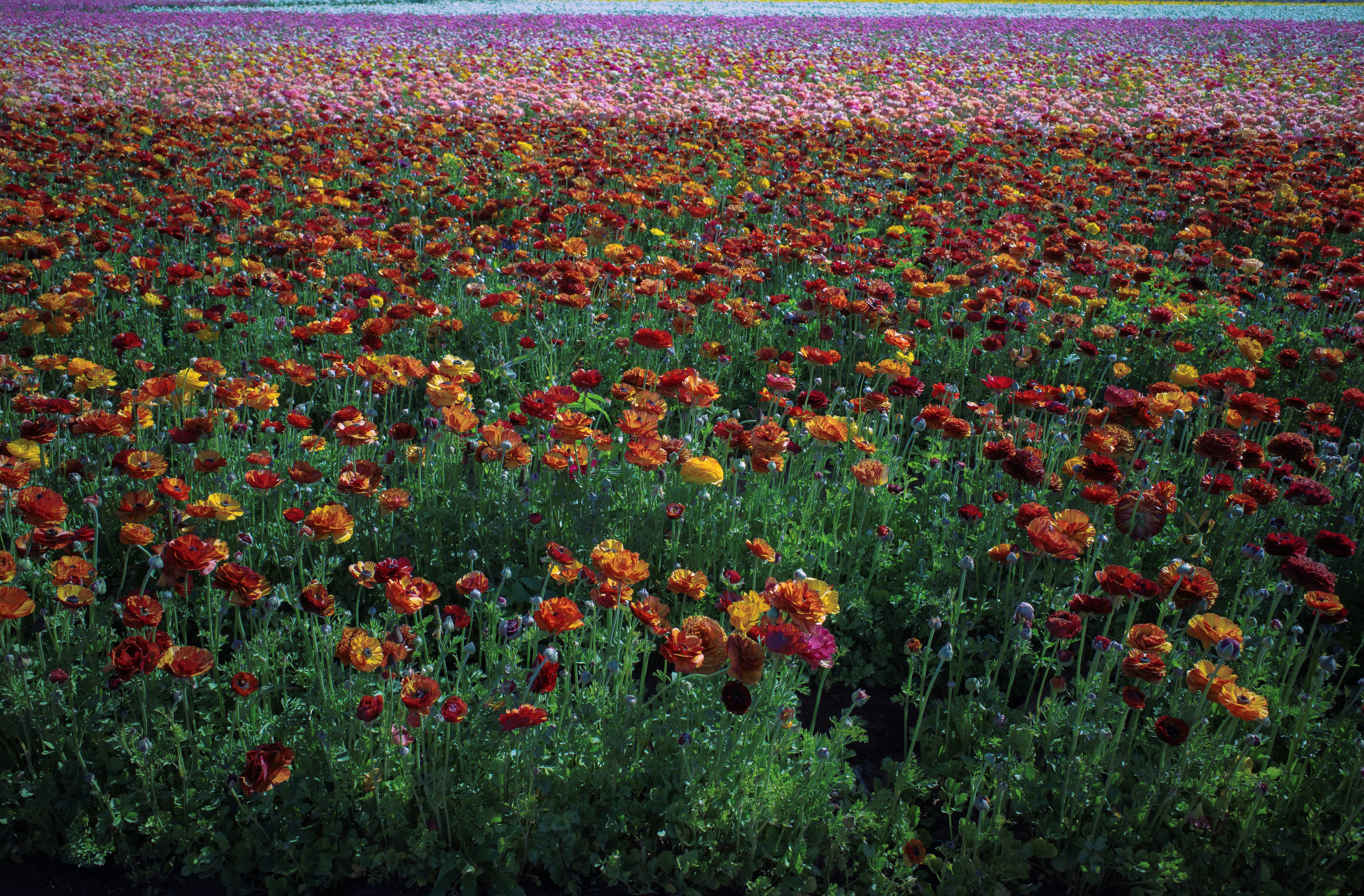 Photo by april_vasquez