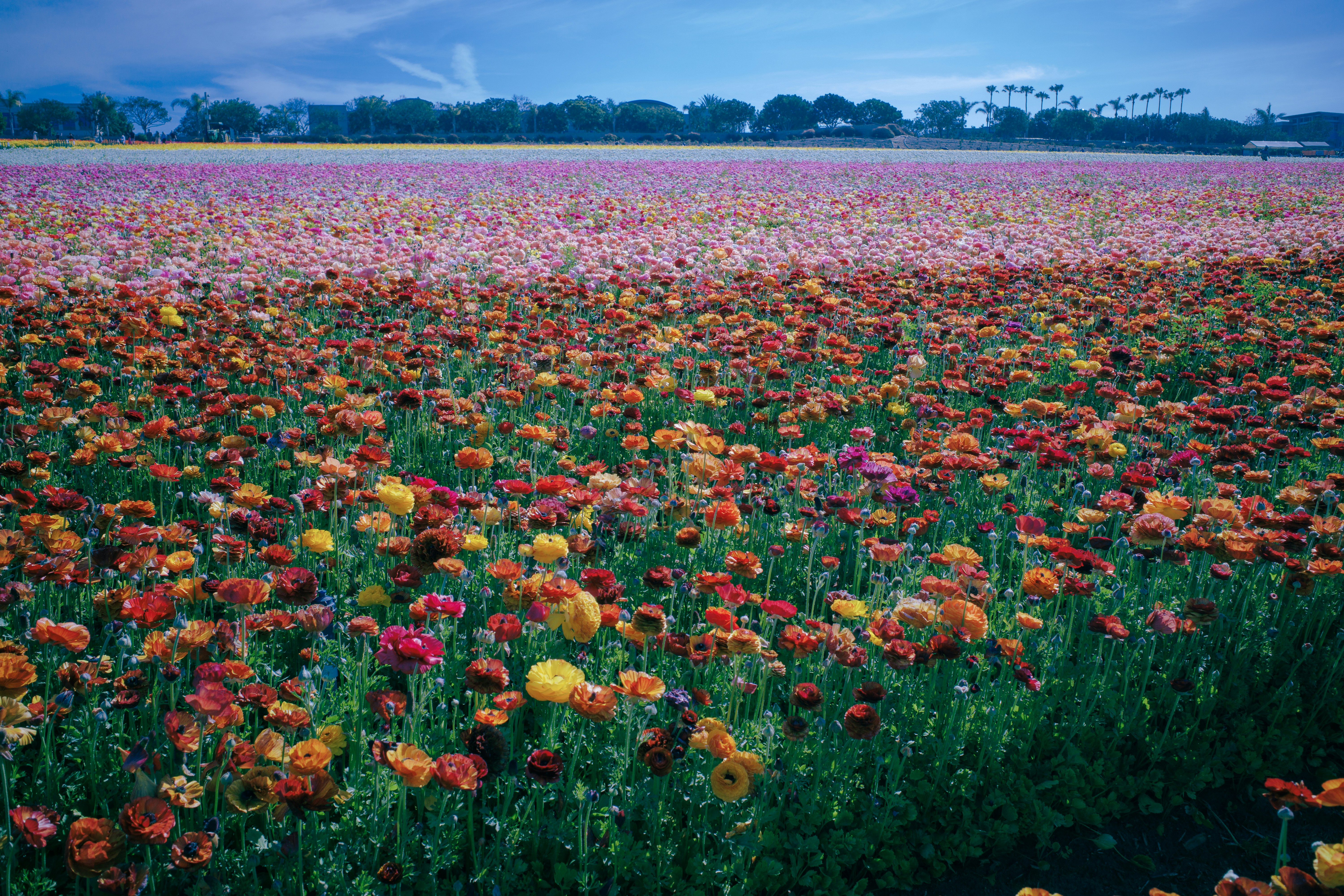 Photo by april_vasquez