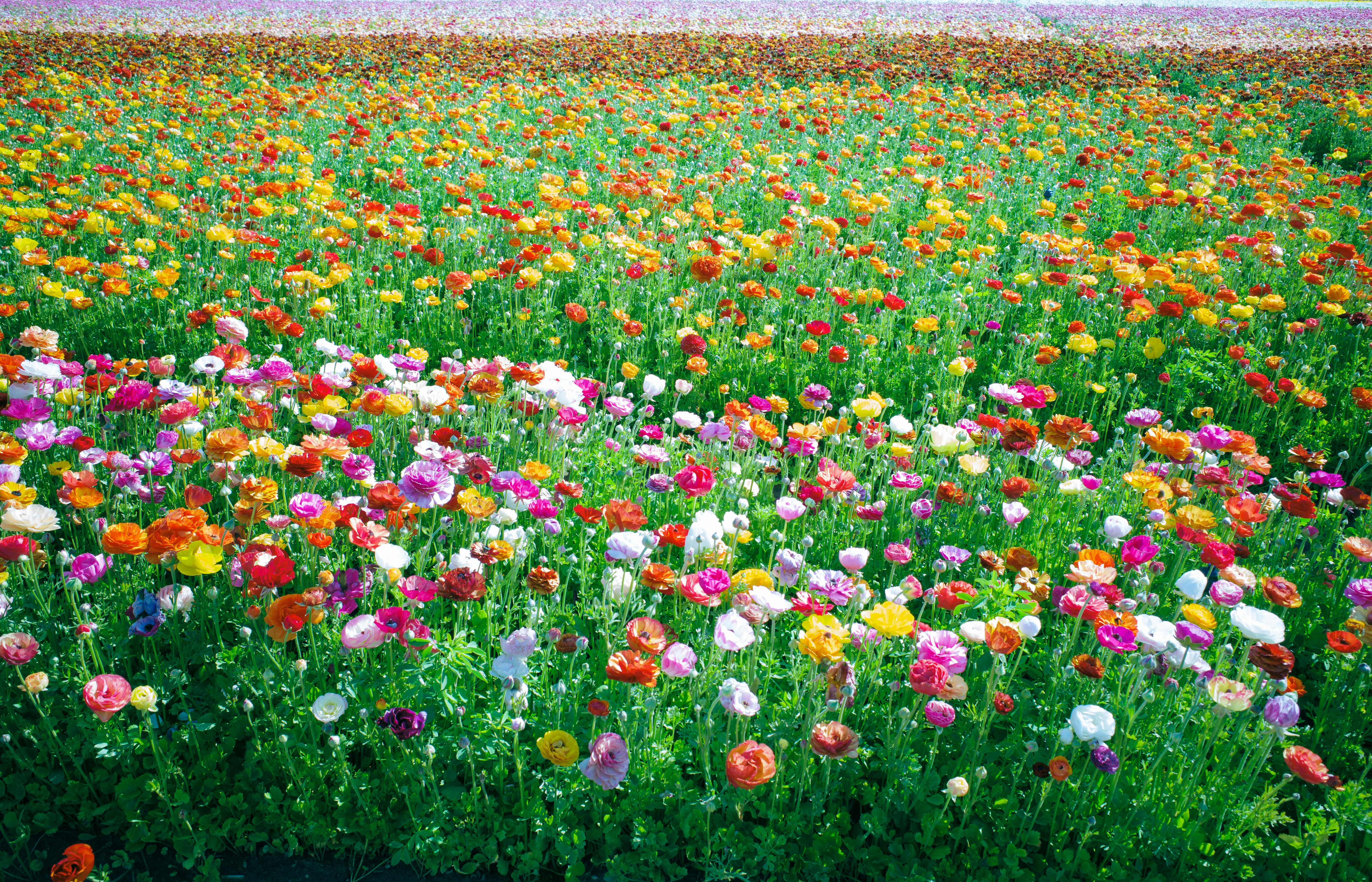 Photo by april_vasquez