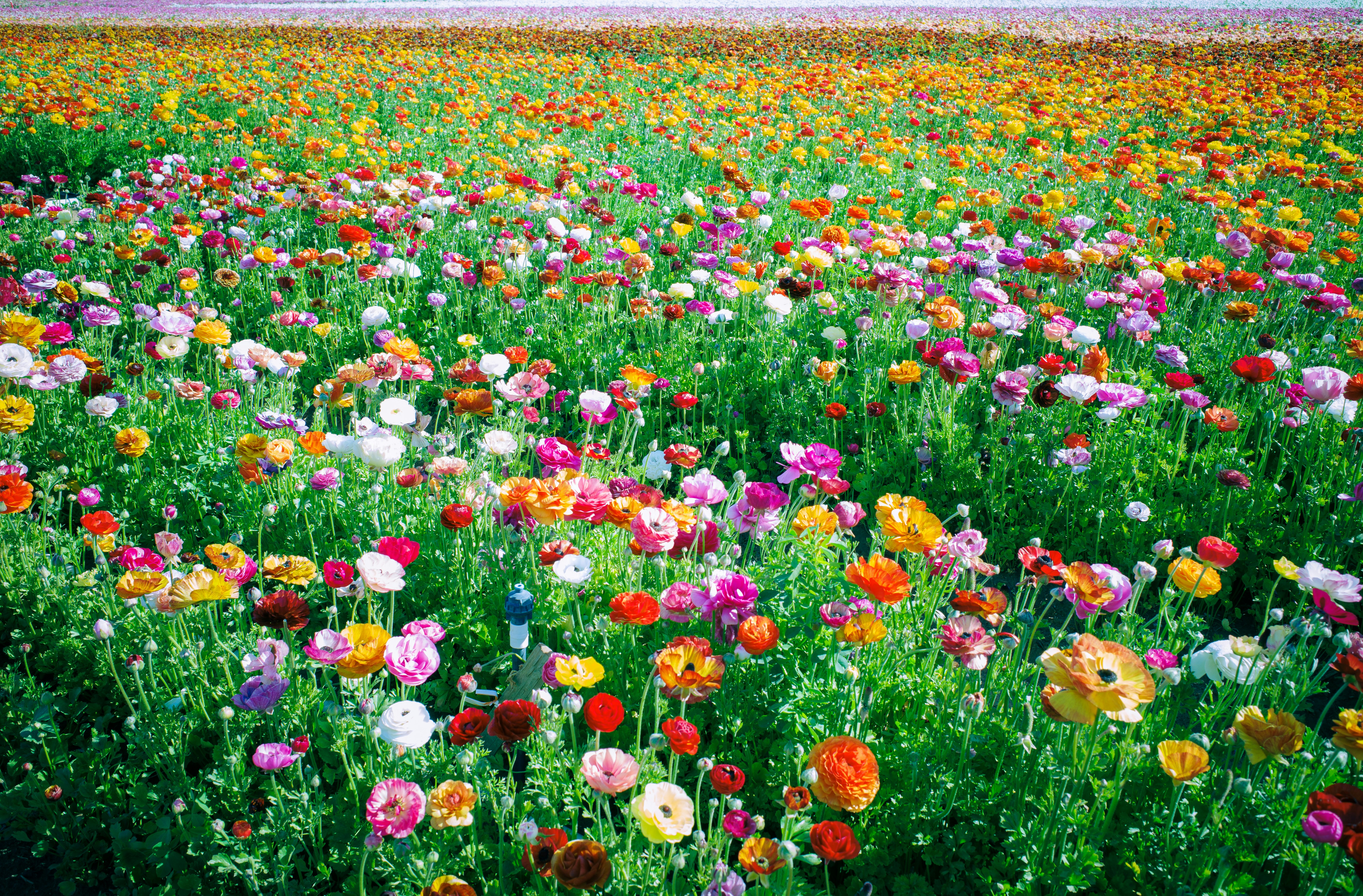 Photo by april_vasquez