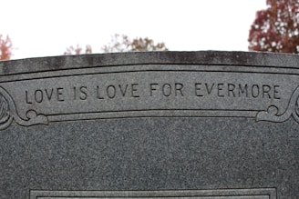 a close up of a memorial with a tree in the background