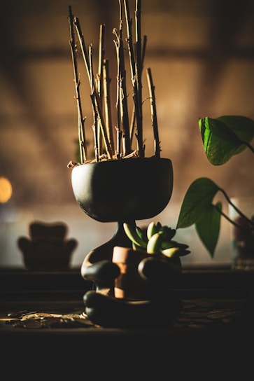 A minimalist black planter shaped like a seated human figure, holding a small pot with succulent plants. The planter contains dry stems, and a green leaf extends from the side. The background is softly blurred, giving a warm, cozy atmosphere.