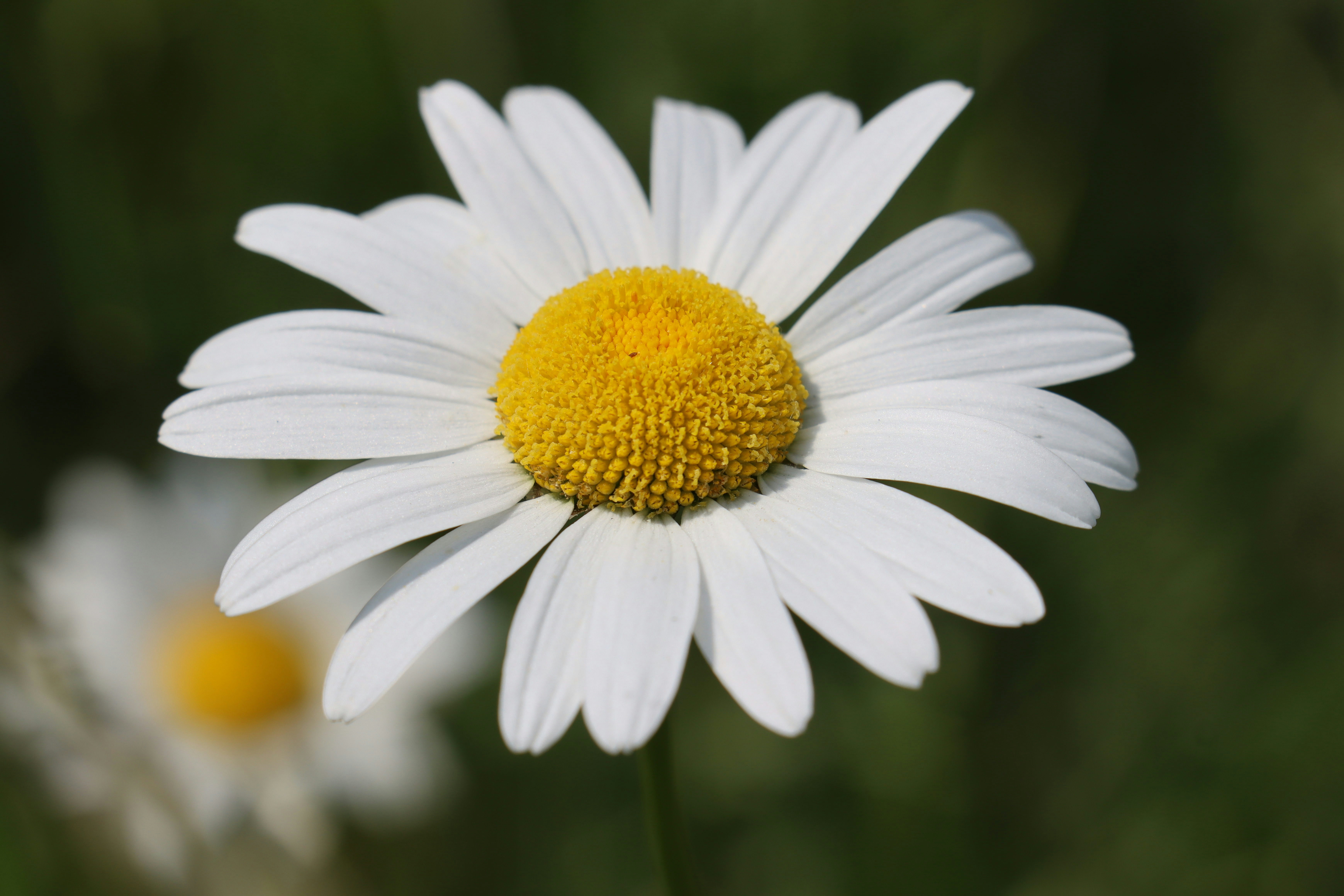 Photo by iversonmodo