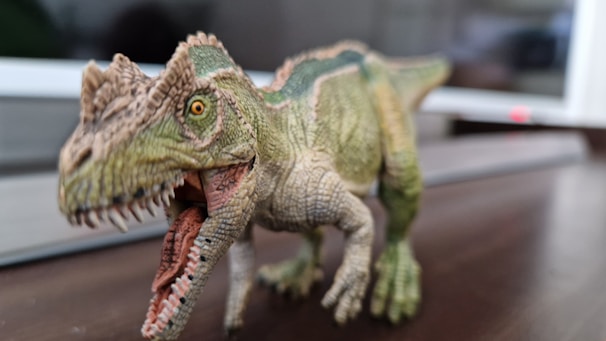 Finished wooden Triceratops dinosaur kit displayed on a rustic wooden table.