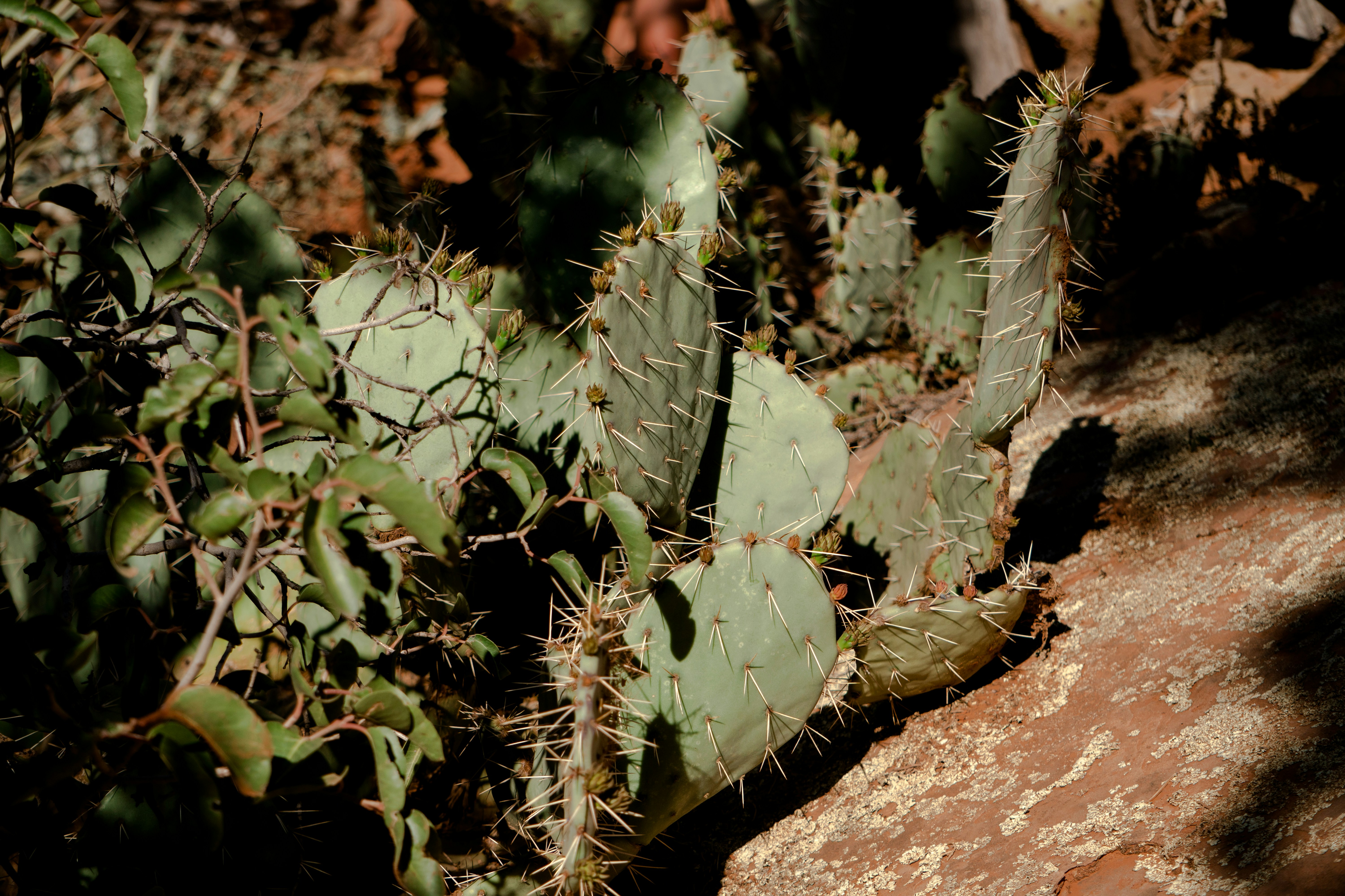 Photo by taylorkeeran