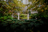 Peaceful patio garden with lush greenery and a sparkling fountain.