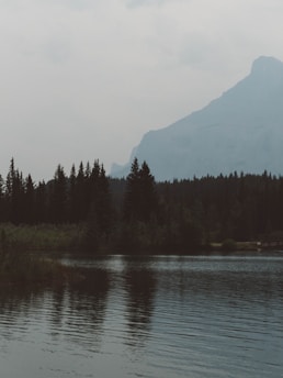 A serene landscape featuring a calm lake surrounded by evergreen trees under a soft, cloudy sky.