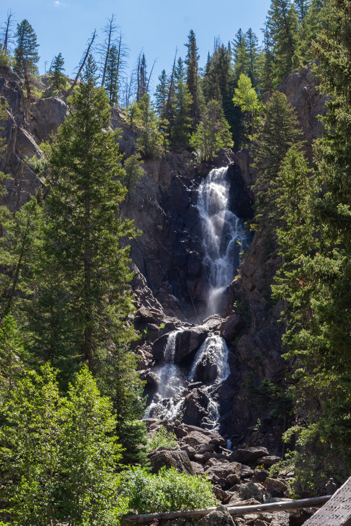 Fish Creek Falls dropping through a rocky canyon lined with evergreens