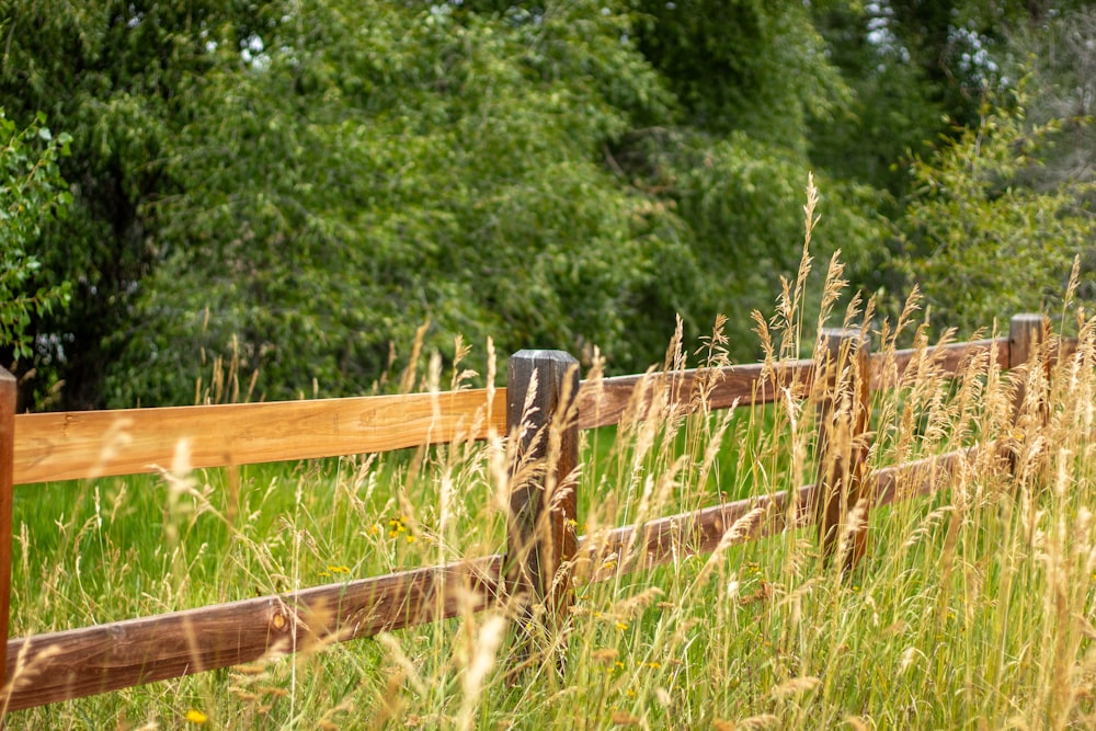 a wooden fence in a grassy field with trees in the background