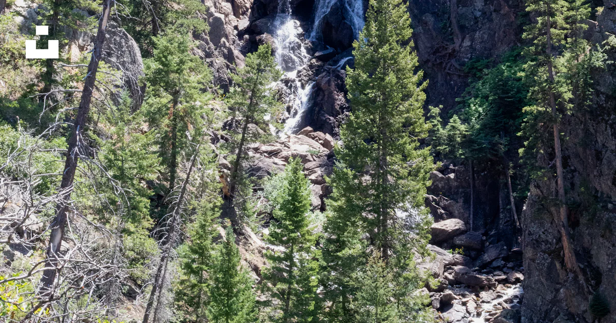 Une cascade au milieu d’une forêt photo – Photo Chemin Fish Creek Falls ...