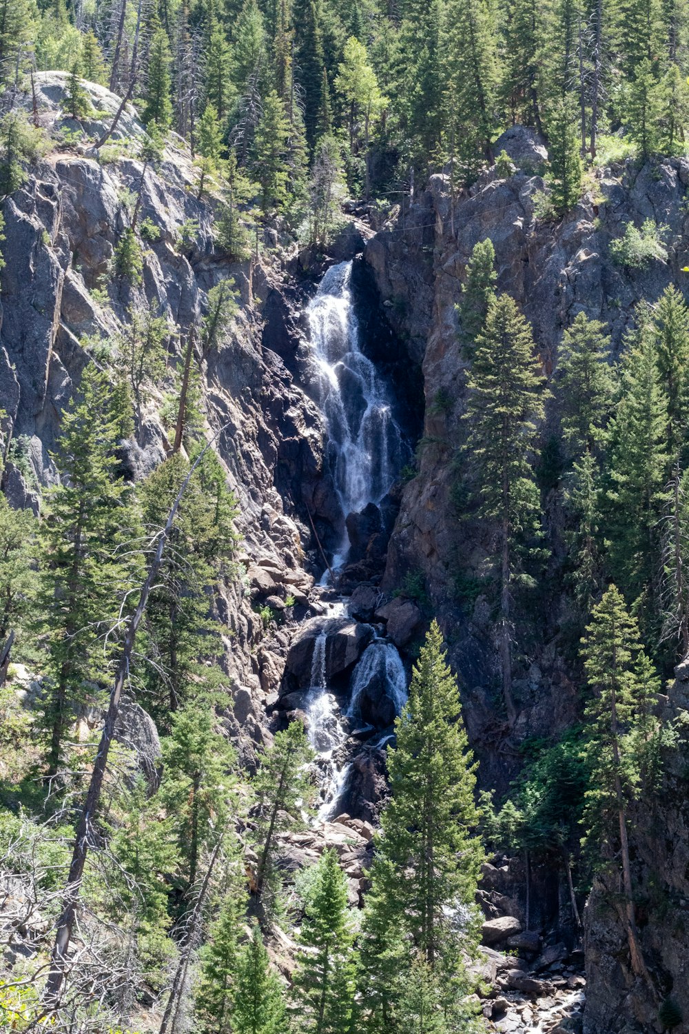 a waterfall in the middle of a forest