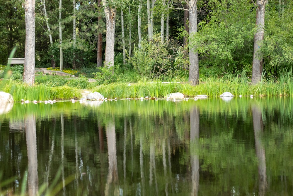 a lake surrounded by trees and rocks with a bench in the background