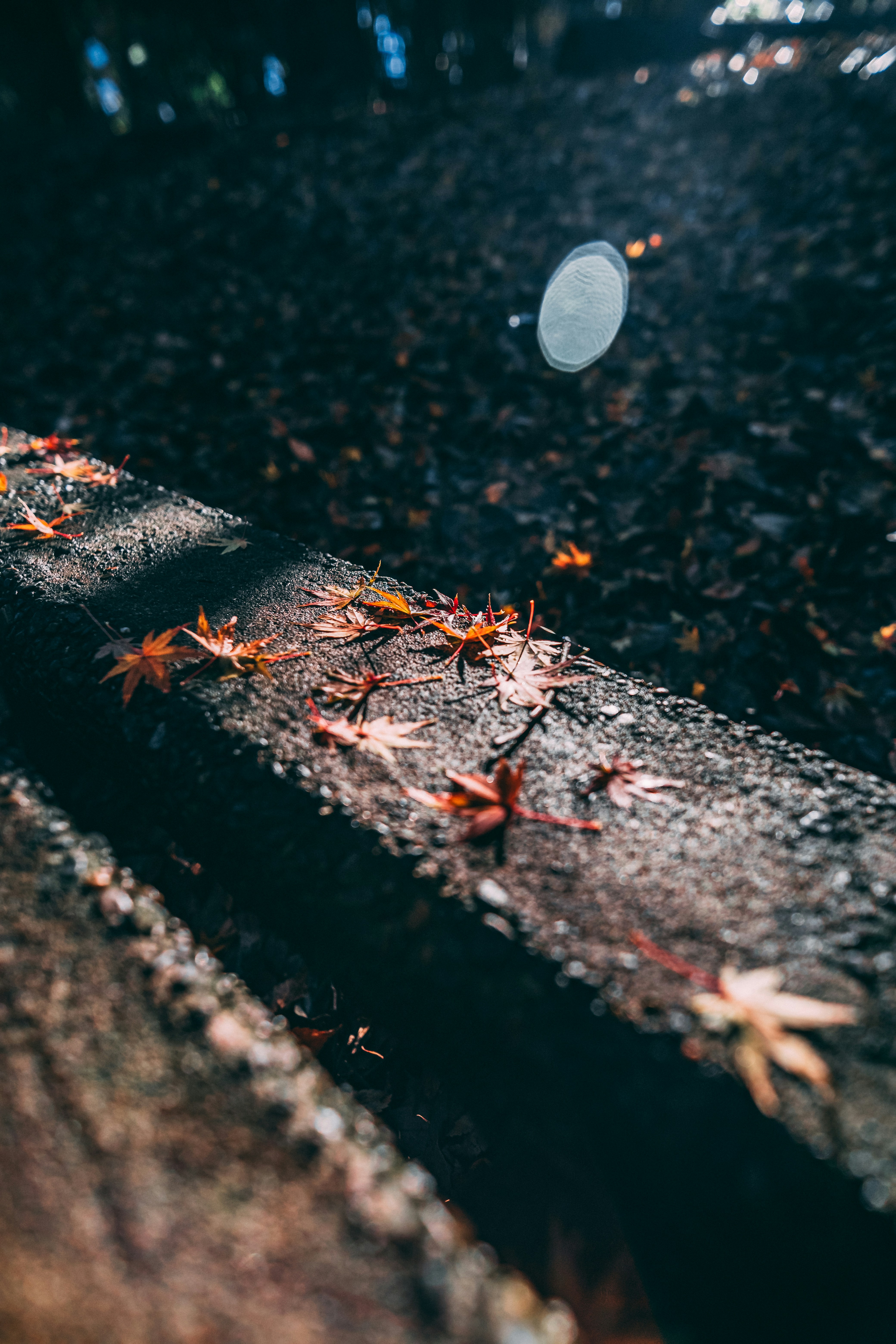 um frisbee branco sentado em cima de uma calçada