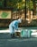 A person wearing a light blue uniform, cap, and face mask is cleaning the ground with a wooden tool. There is a large green bag next to them for collecting leaves on a gravel path in a forested area. A wooden signpost with a map and a bamboo fence are visible in the background among trees.