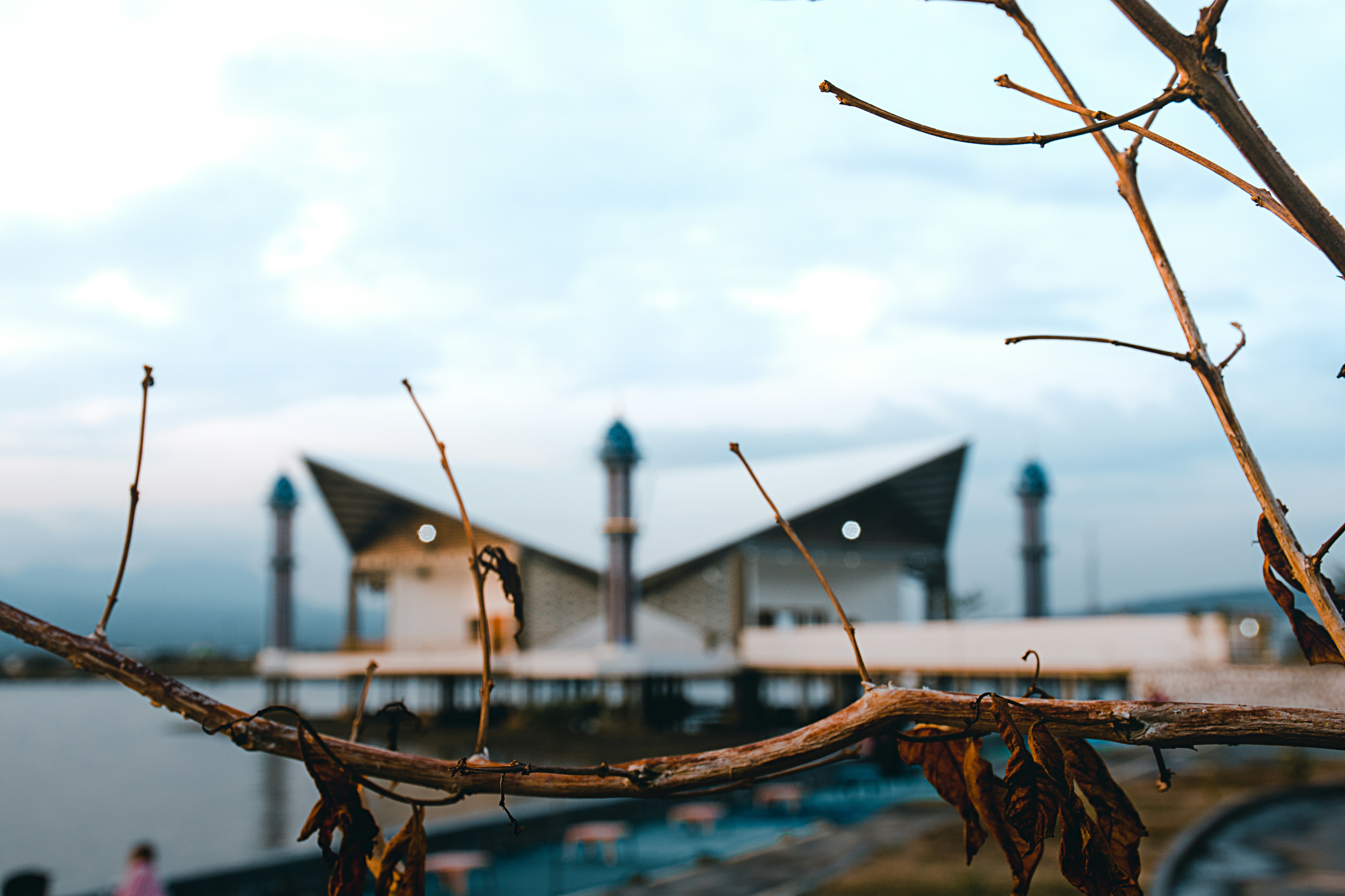 Bima, Indonesia - Foreground of brown dry twigs and leaves against the blurry background of the Amahami mosque Bima that floated on the sea