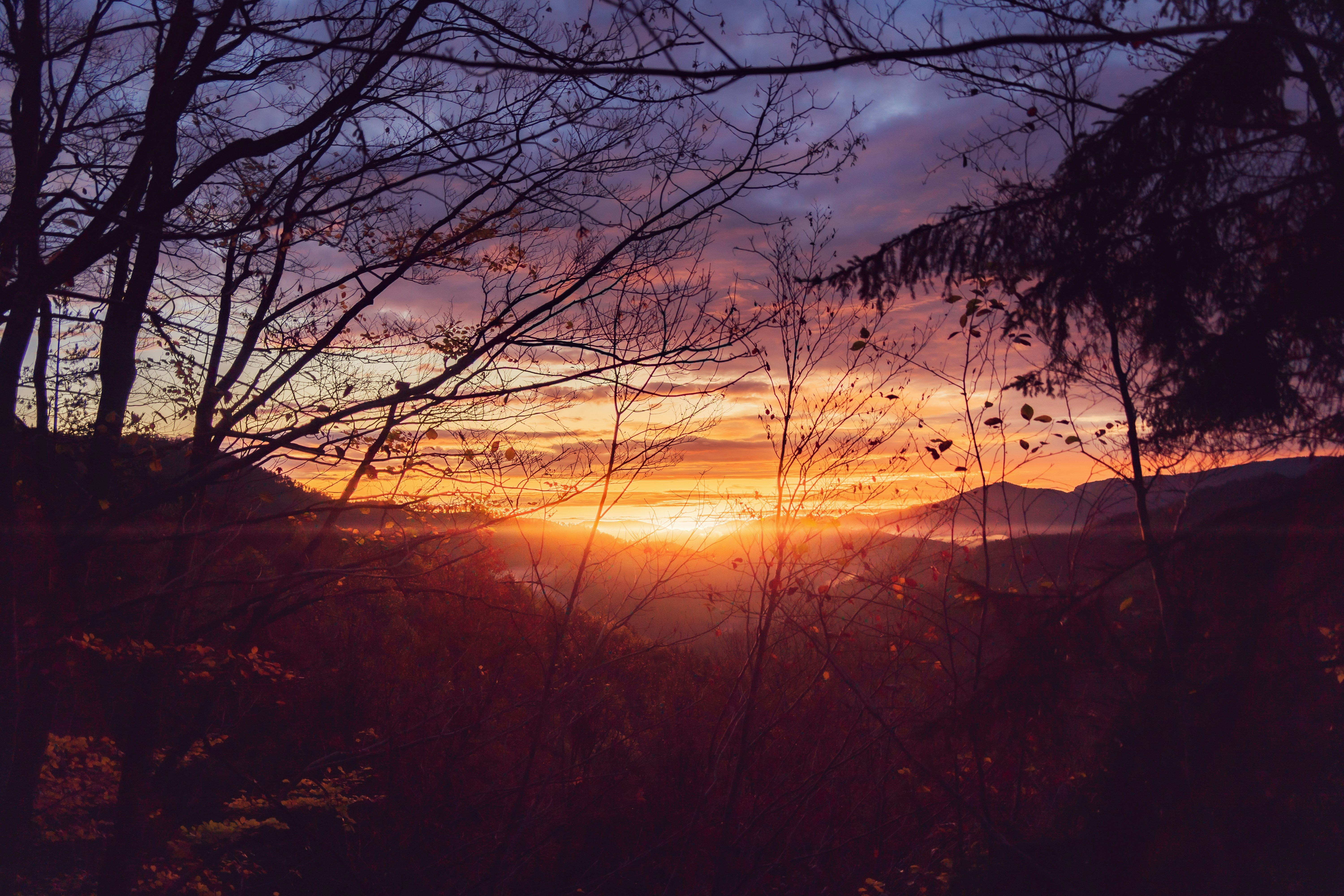 Photo by pino_rumbero