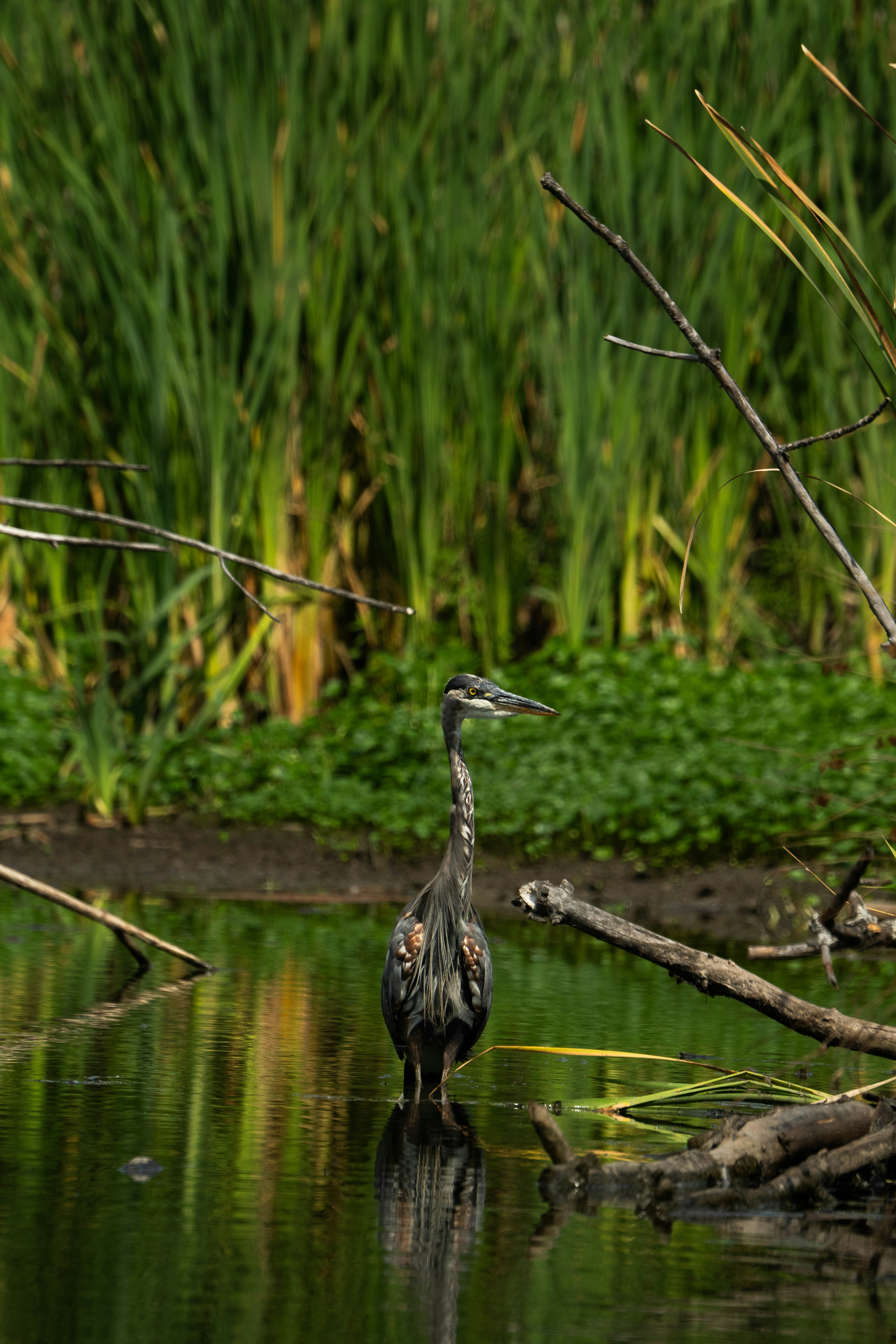 Photo by canisaydelicious