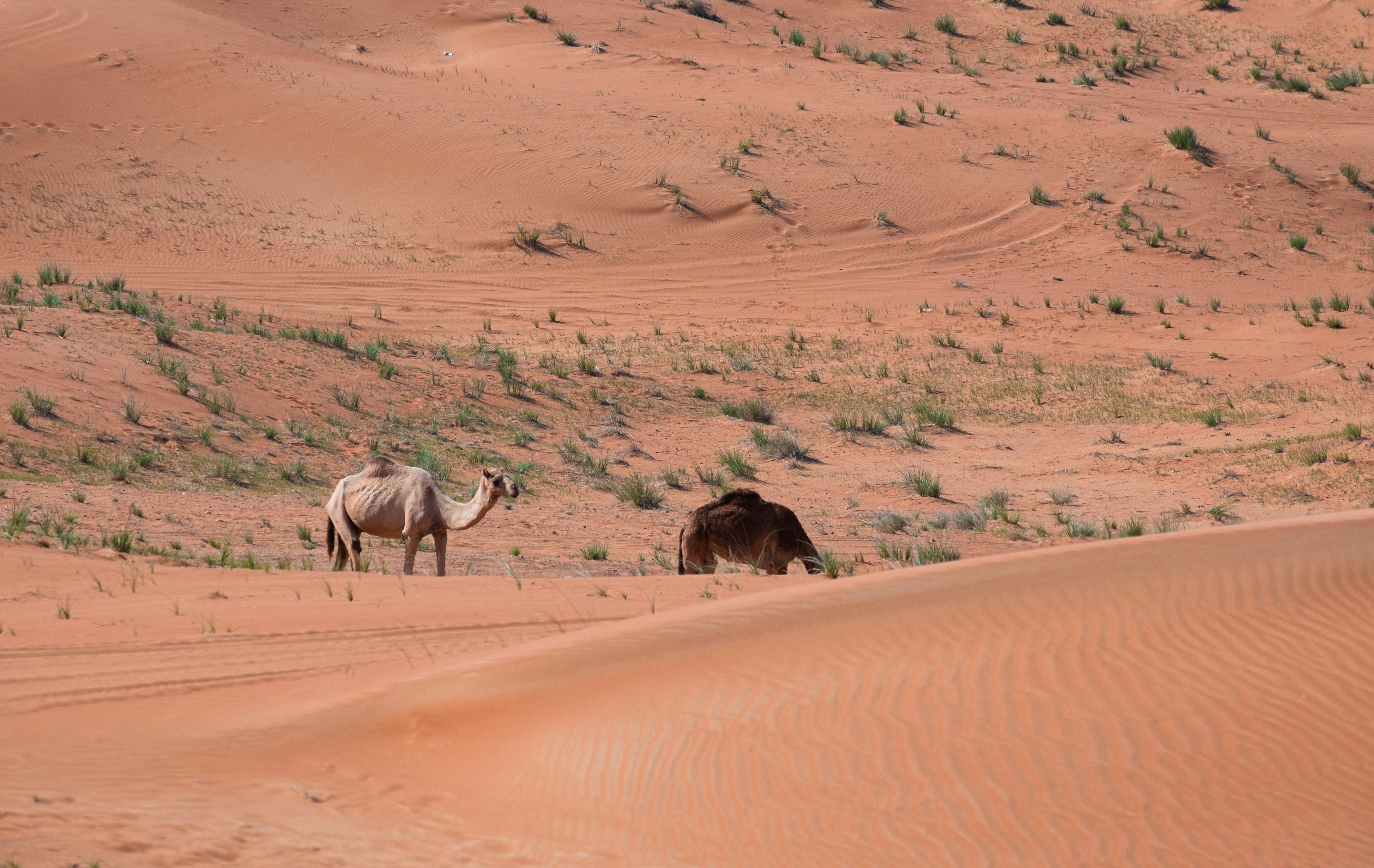 Photo by mo_design_3d