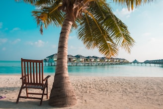 A serene tropical beach setting with a palm tree providing shade to a wooden chair on white sand. Overwater bungalows stretch into the turquoise sea under a clear blue sky.