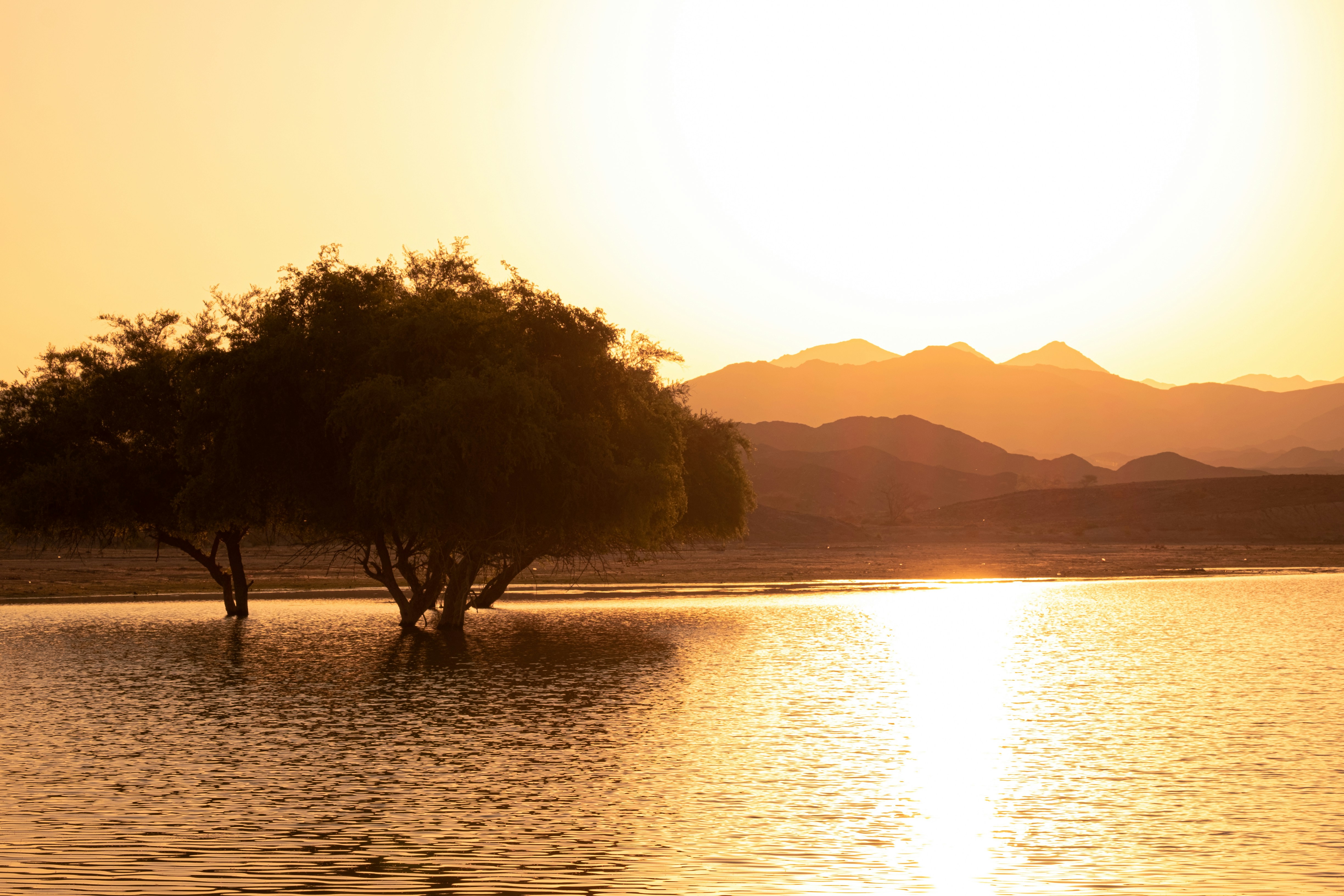 Photo by mo_design_3d