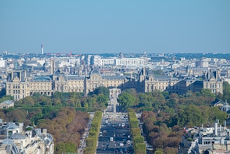 A grand palace-like building in the background with intricate architectural details sits beyond a long, tree-lined avenue that stretches into the distance. The foreground includes part of an urban area, replete with various buildings and residential structures. Vehicles and some pedestrian activity can be seen along the avenue. Diverse modern buildings fill the mid-ground, blending classic architecture with contemporary structures.