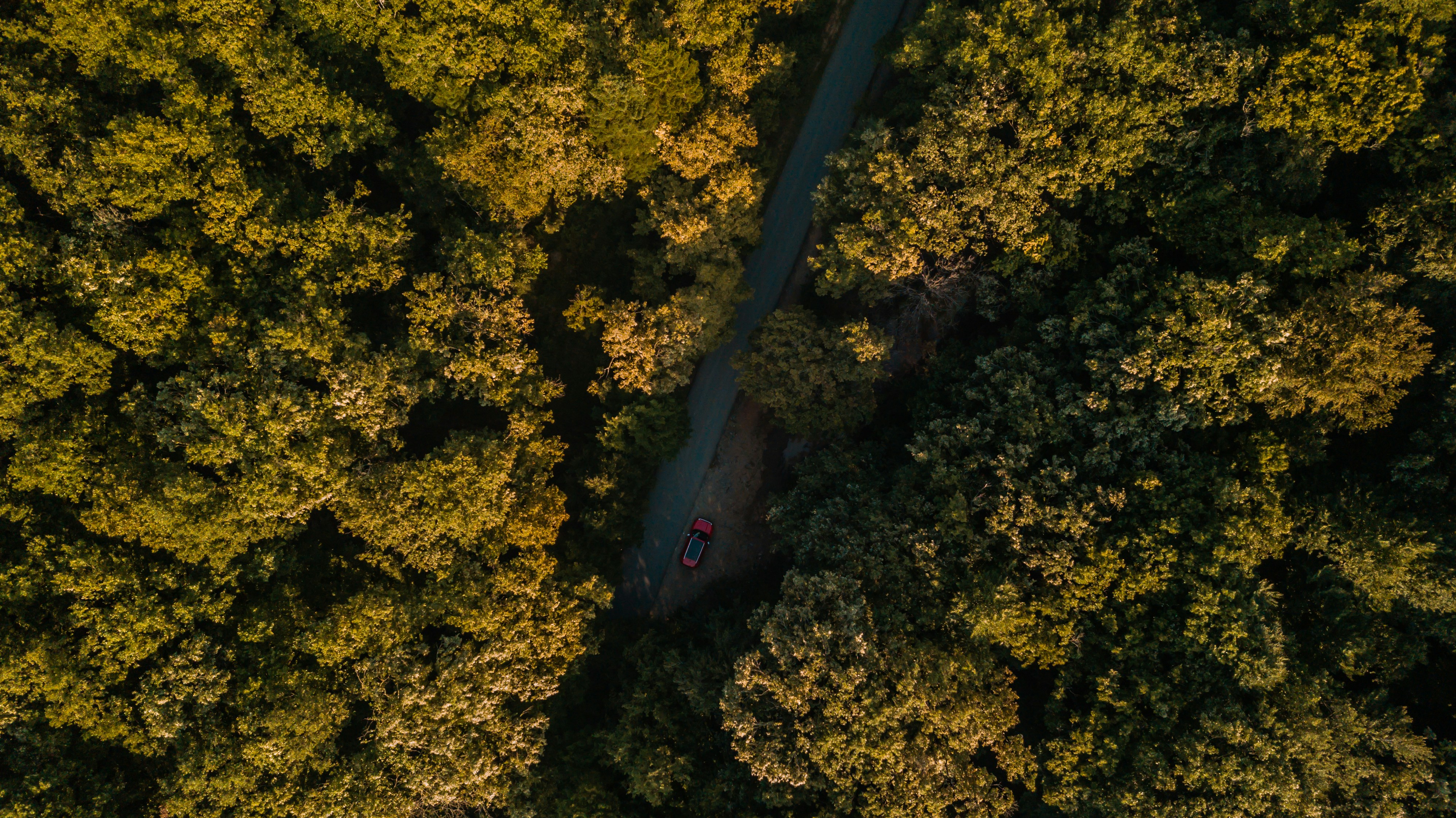 Photo by mo_design_3d