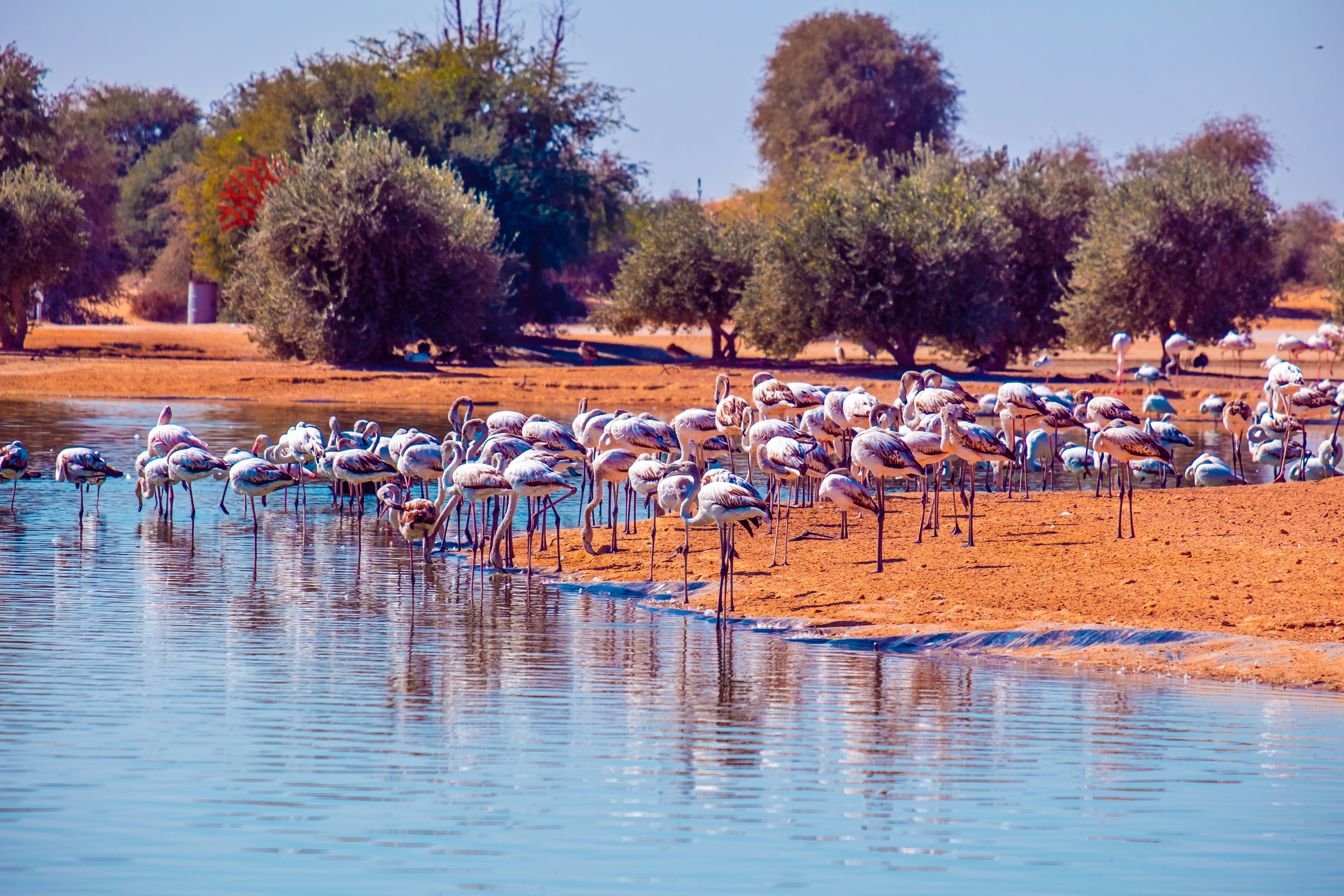 Group Travel to Botswana: Why It’s Perfect for European Friends, Clubs and Travel Groups - Introduction