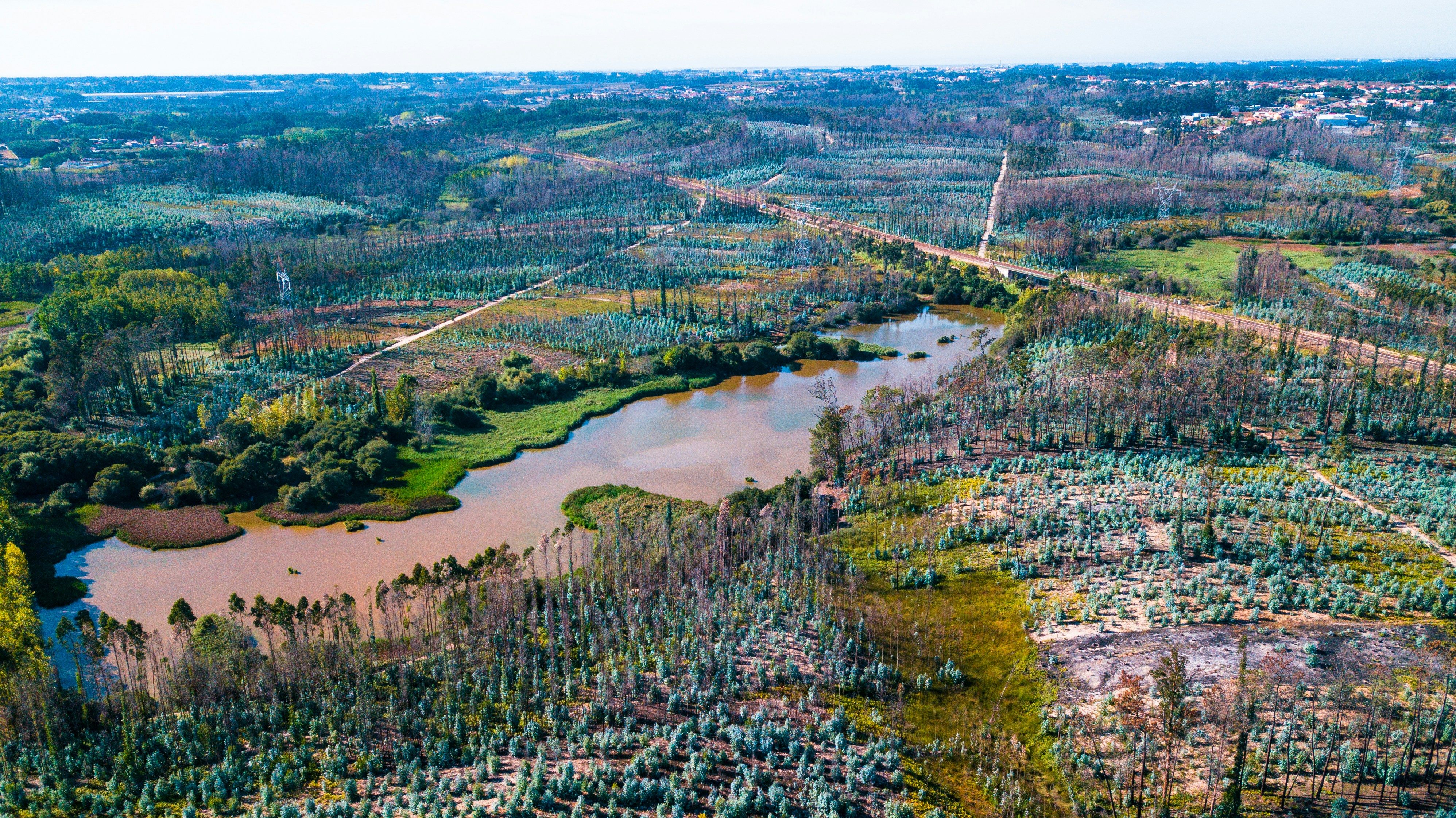 Photo by mo_design_3d