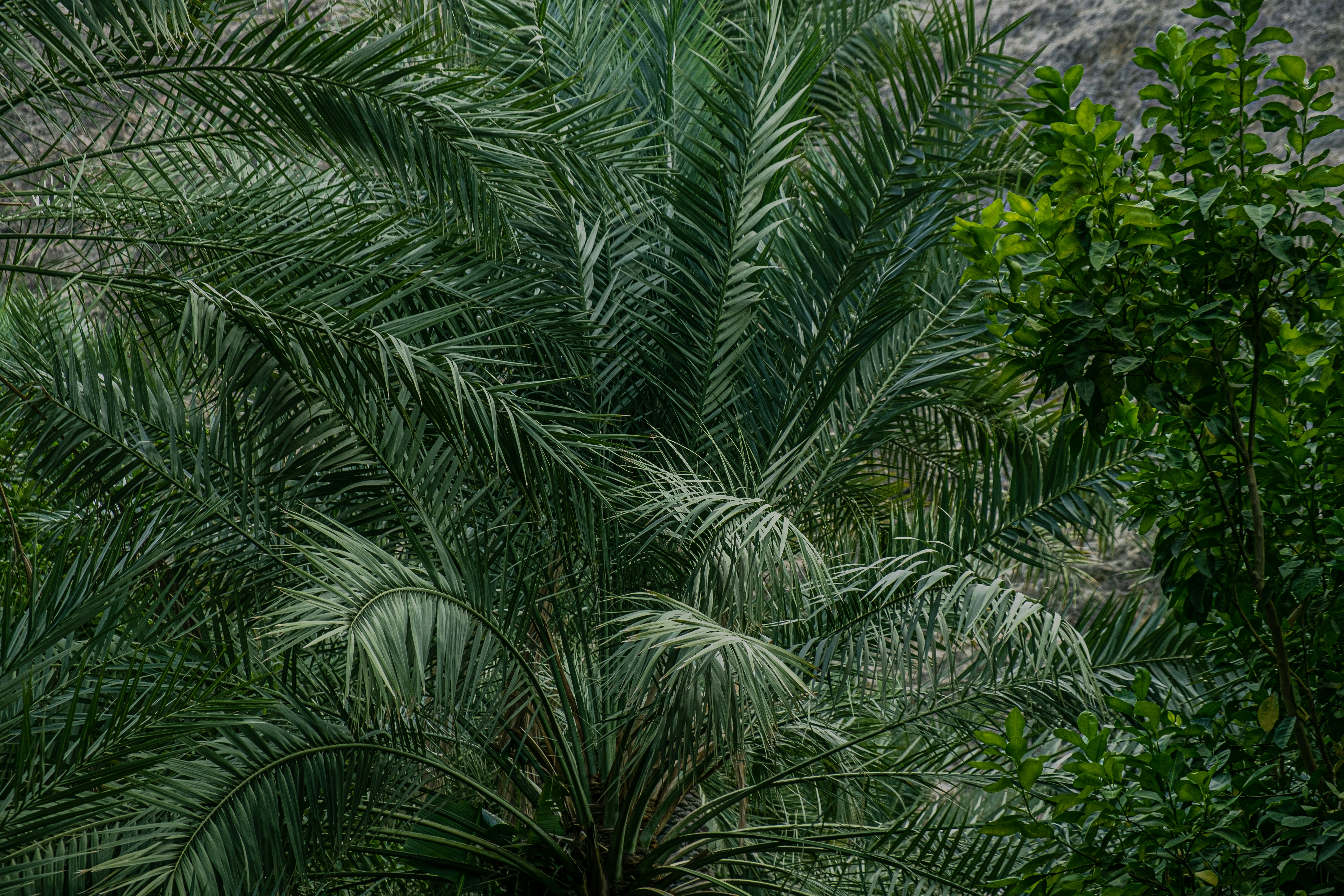 Photo by mo_design_3d