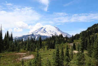 a snow capped mountain towering over a forest filled with trees