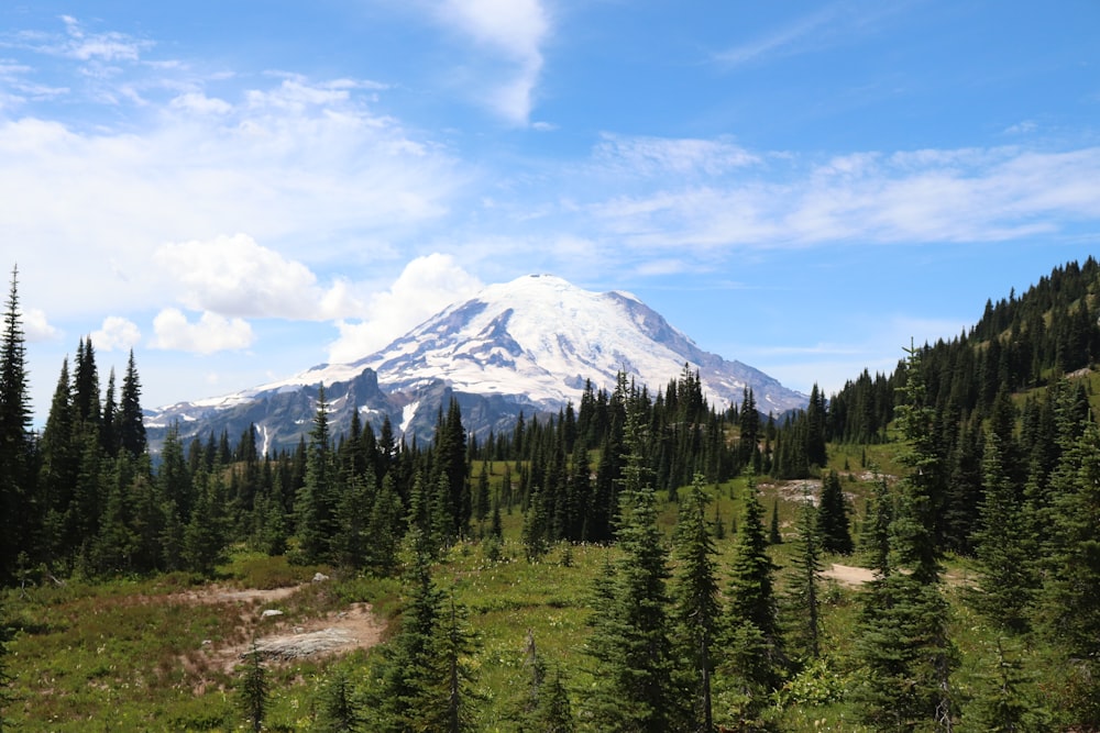 a snow capped mountain towering over a forest filled with trees