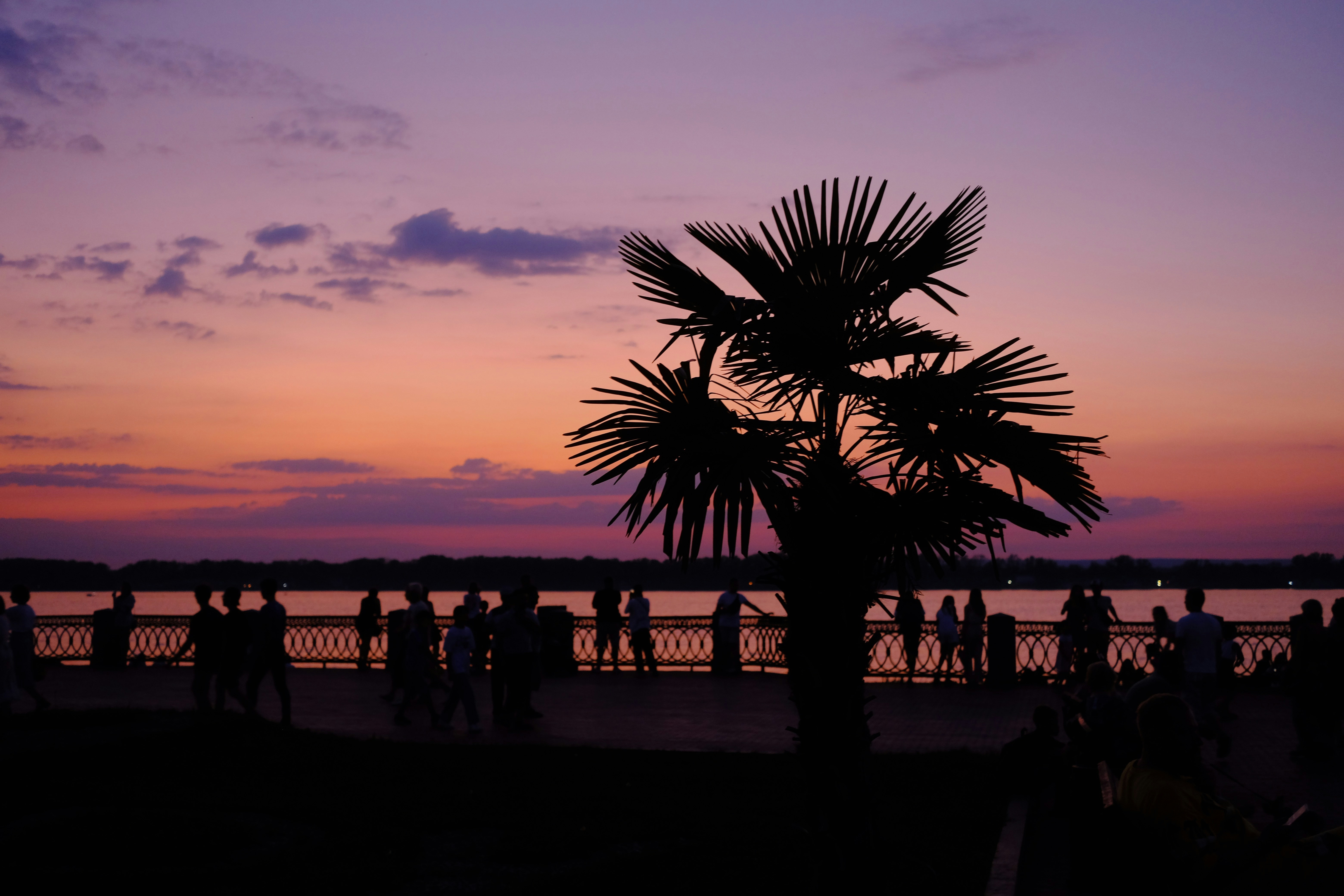 Photo by sesambrotchen