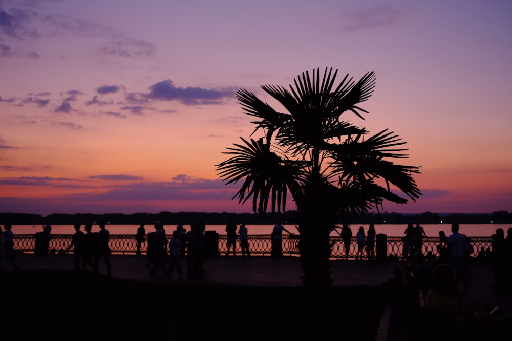 a group of people standing next to a palm tree