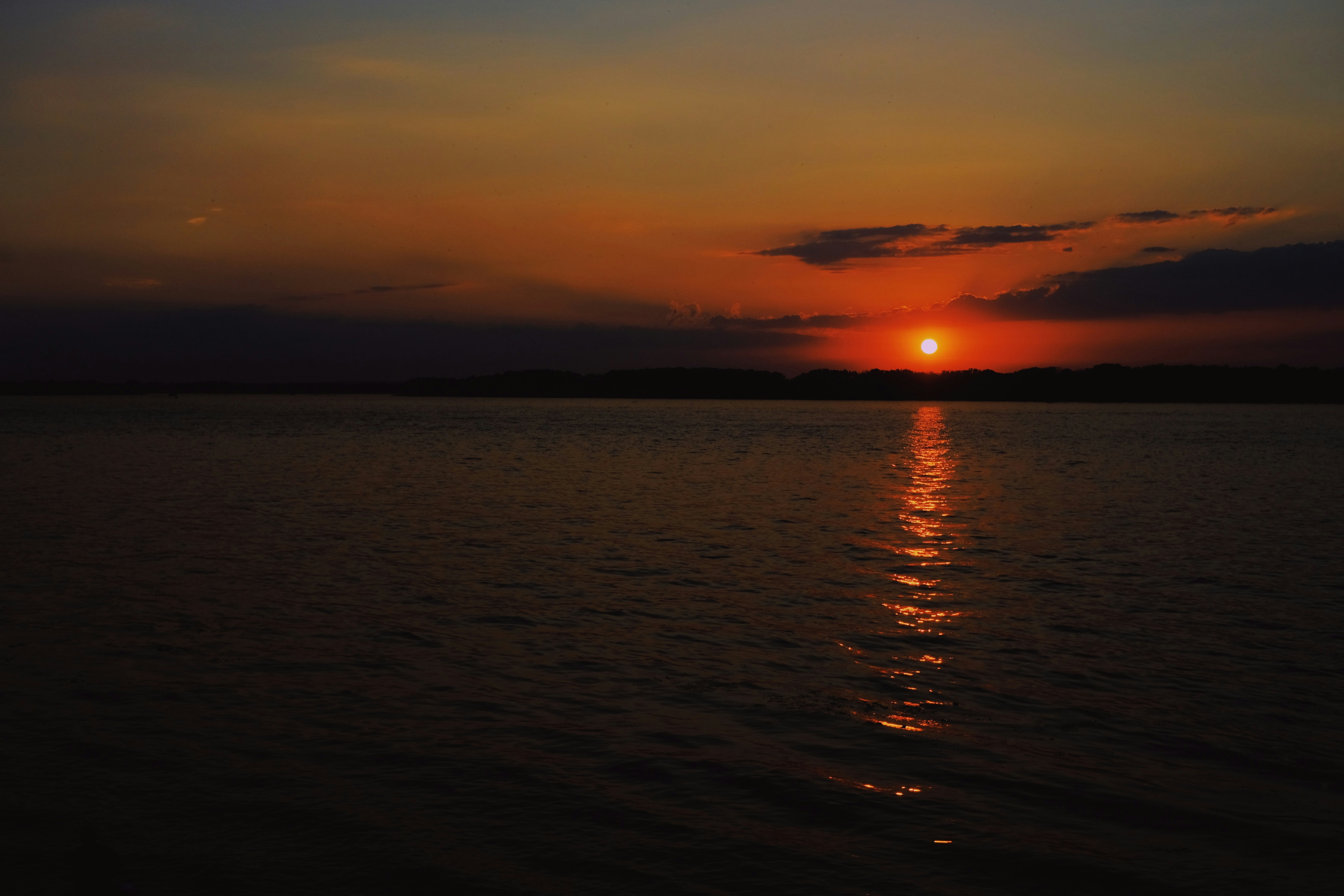 Photo by sesambrotchen