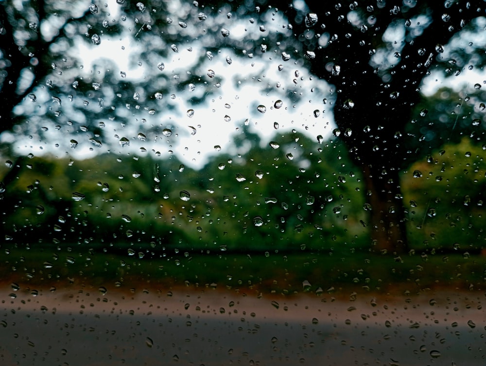 a rain covered window with trees in the background