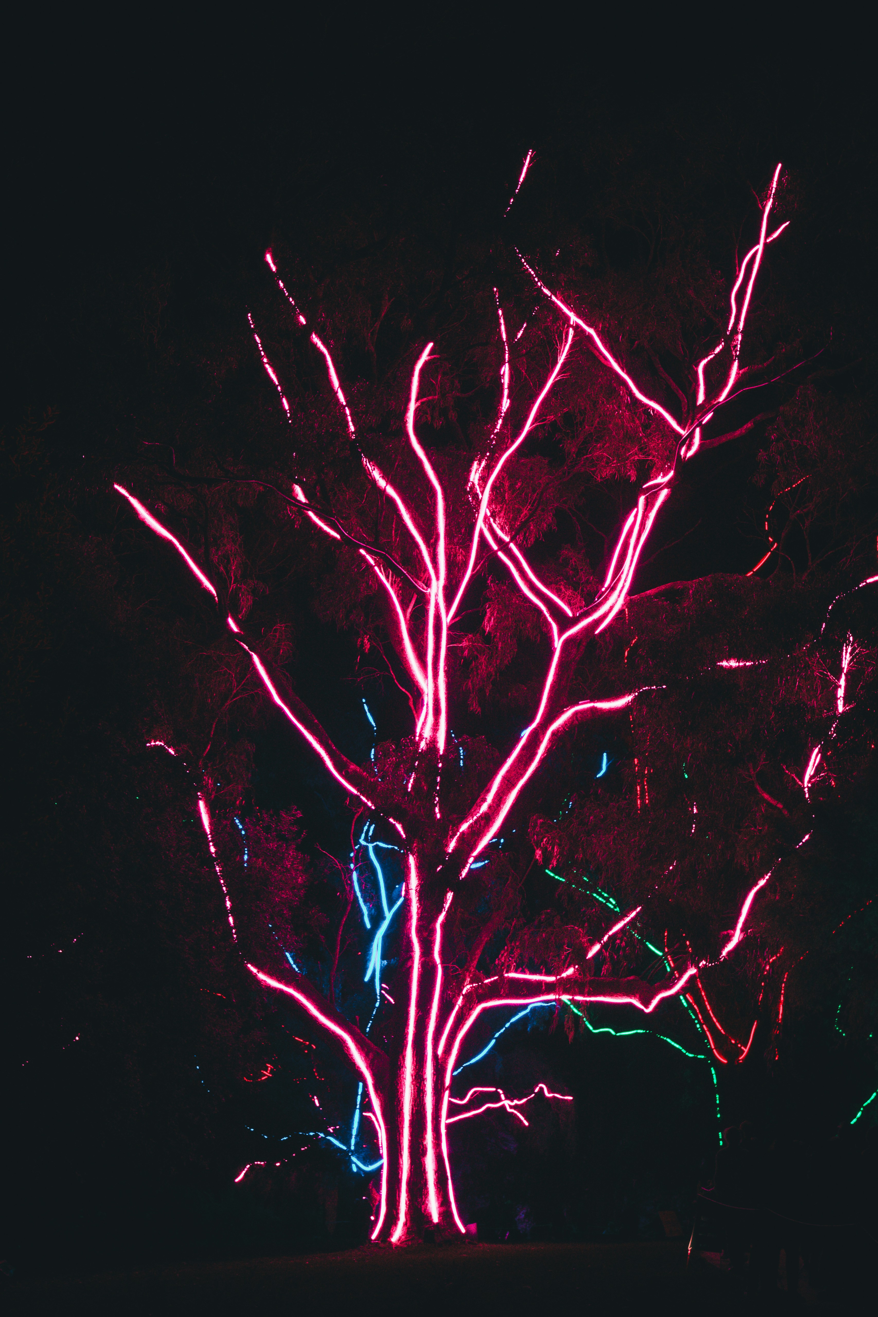 New Roots, New Routes