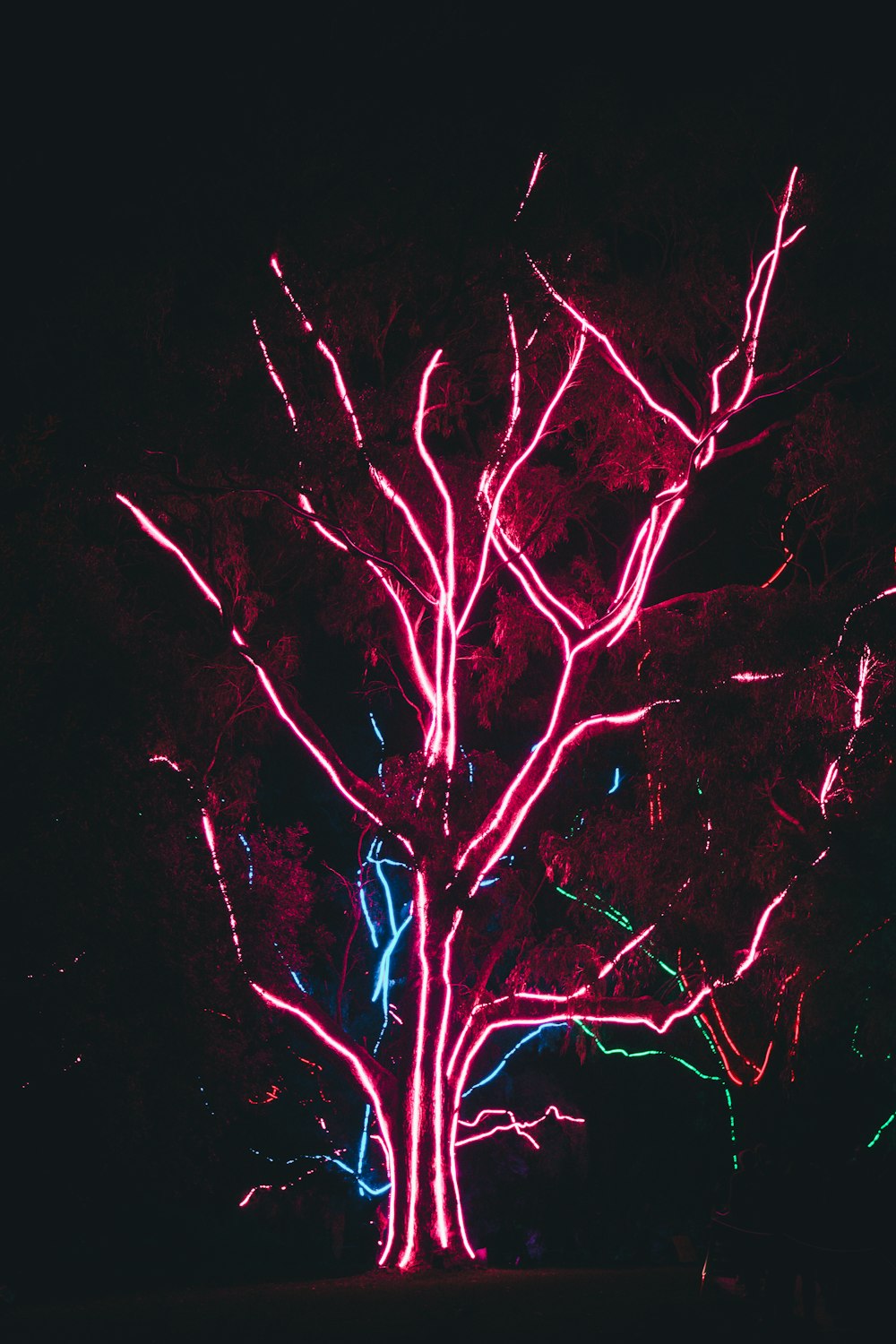 a lit up tree in the dark at night