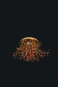 Elegant chandelier being installed by a skilled electrician.