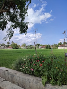 A vibrant rural community using internet services.