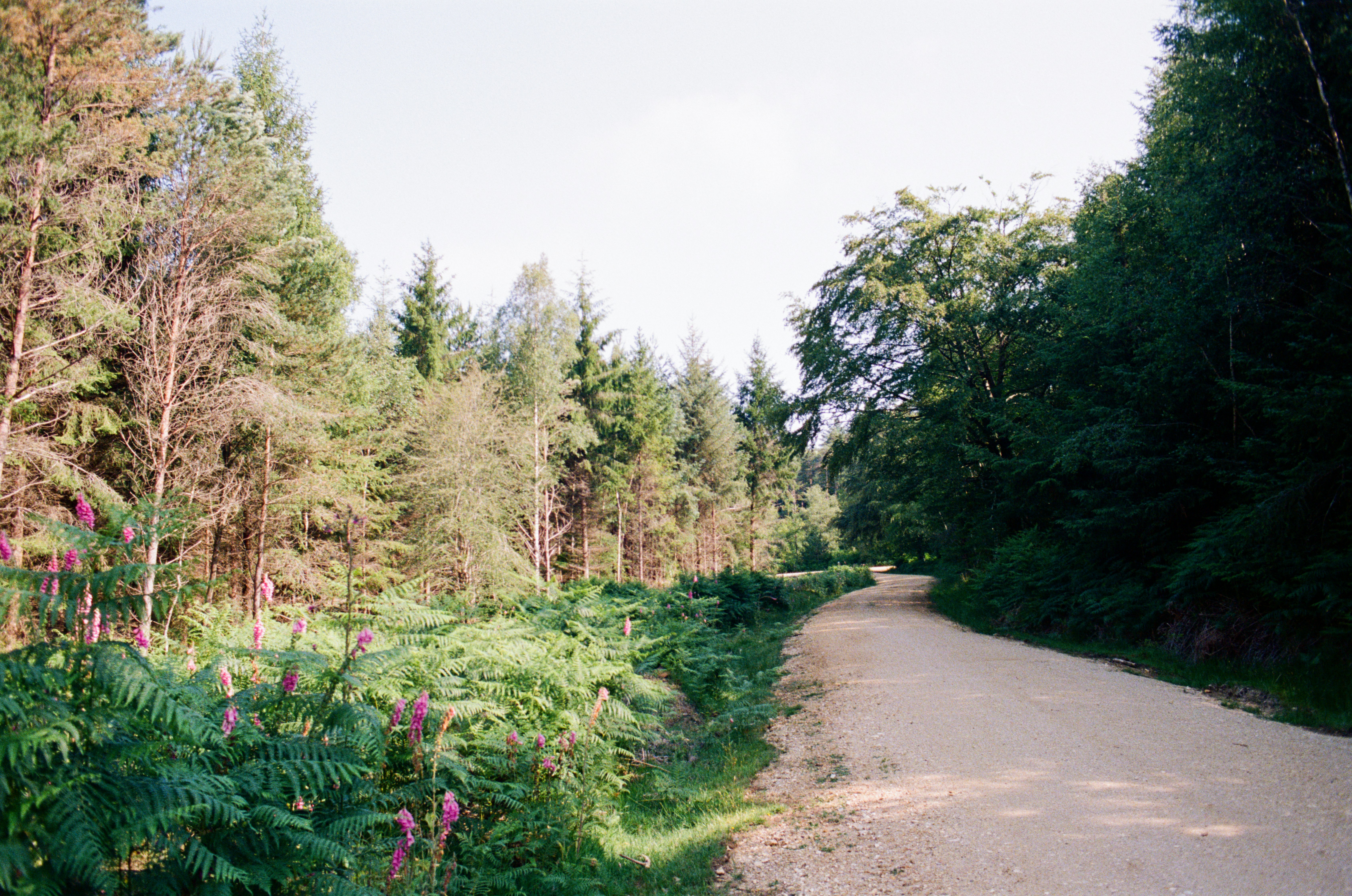 Photo by anniespratt