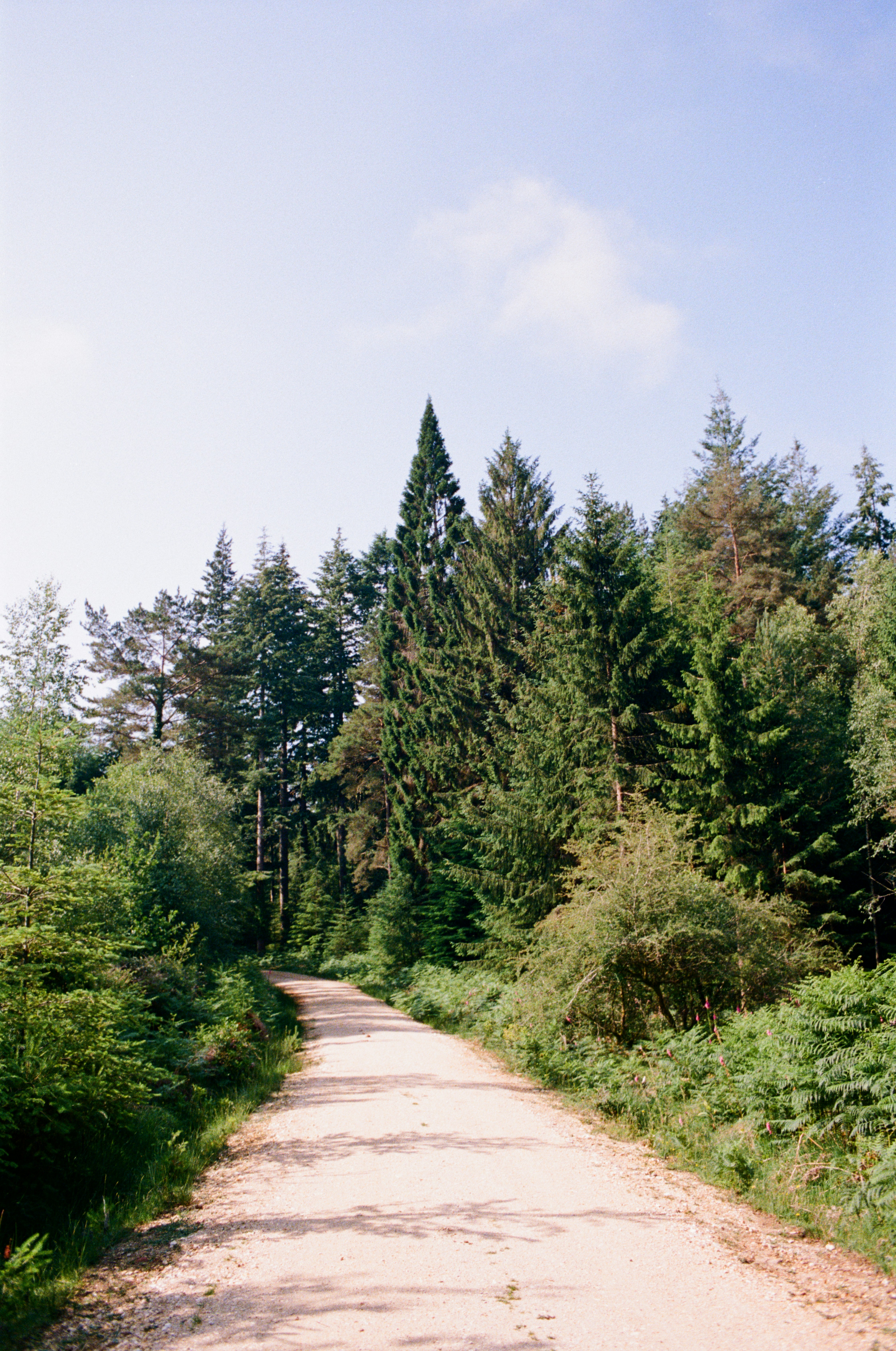 Photo by anniespratt