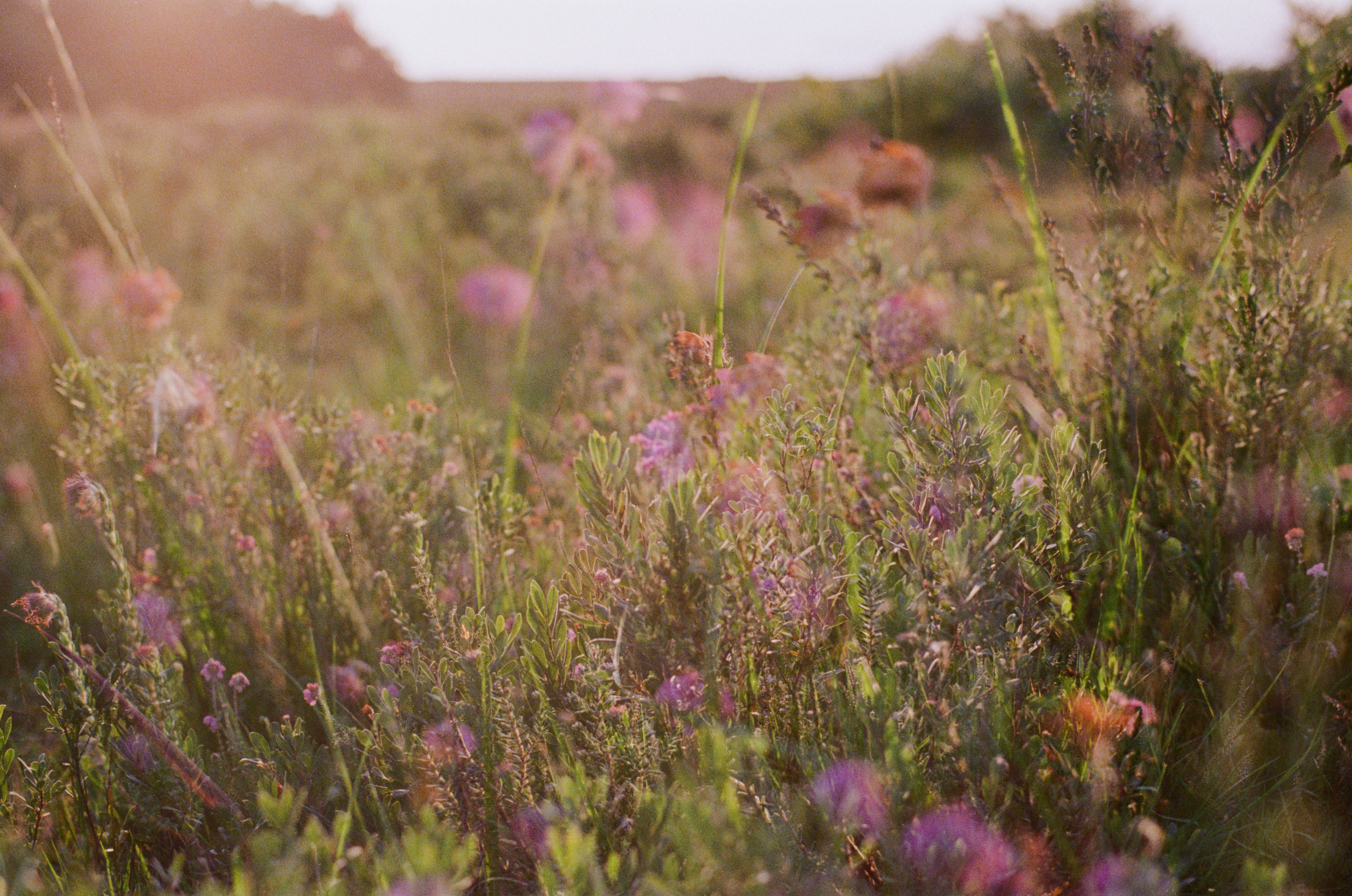 Photo by anniespratt