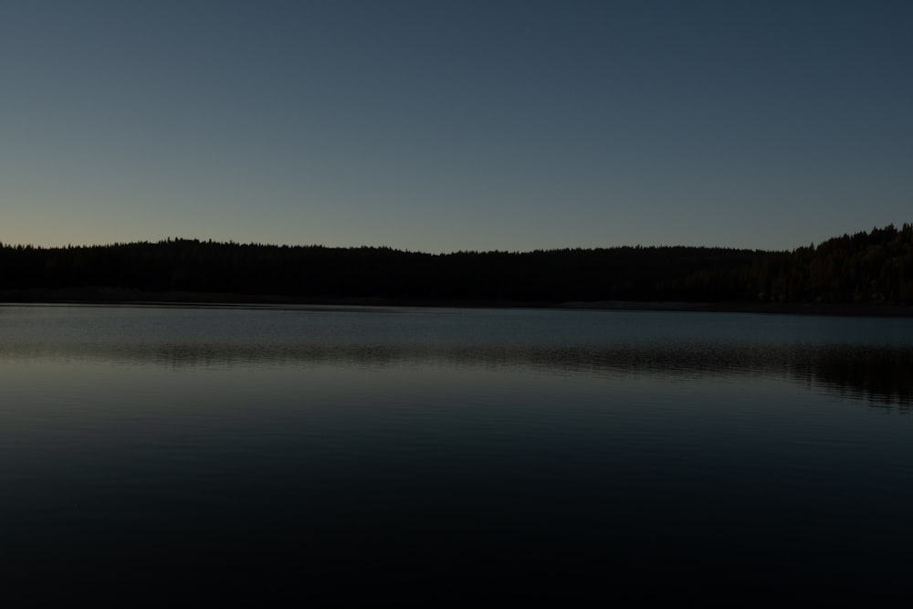 a large body of water surrounded by a forest