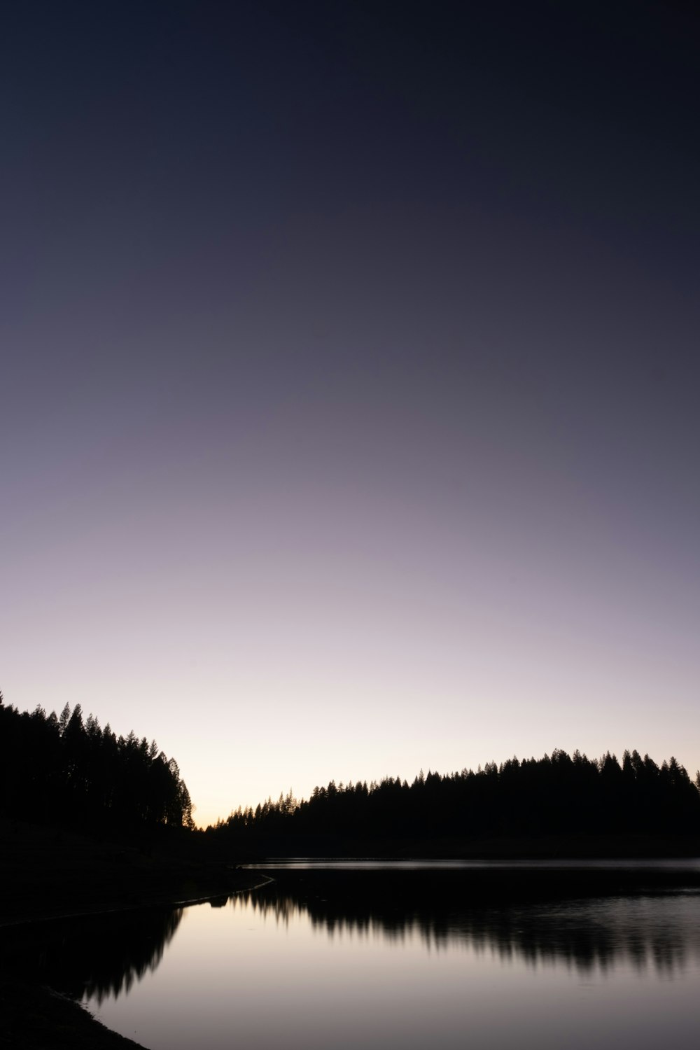 a large body of water with trees in the background