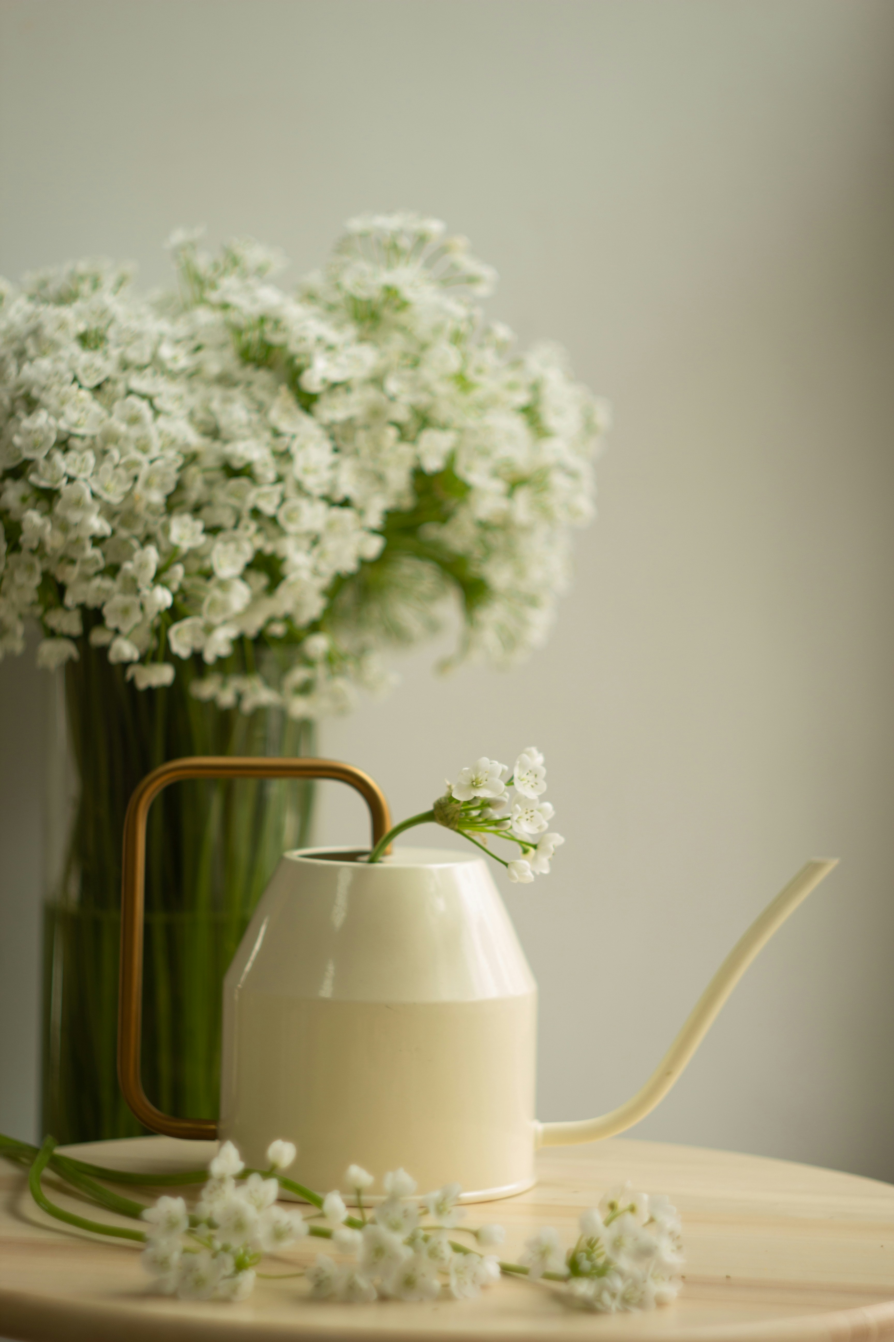 Photo by ekaterinanovak